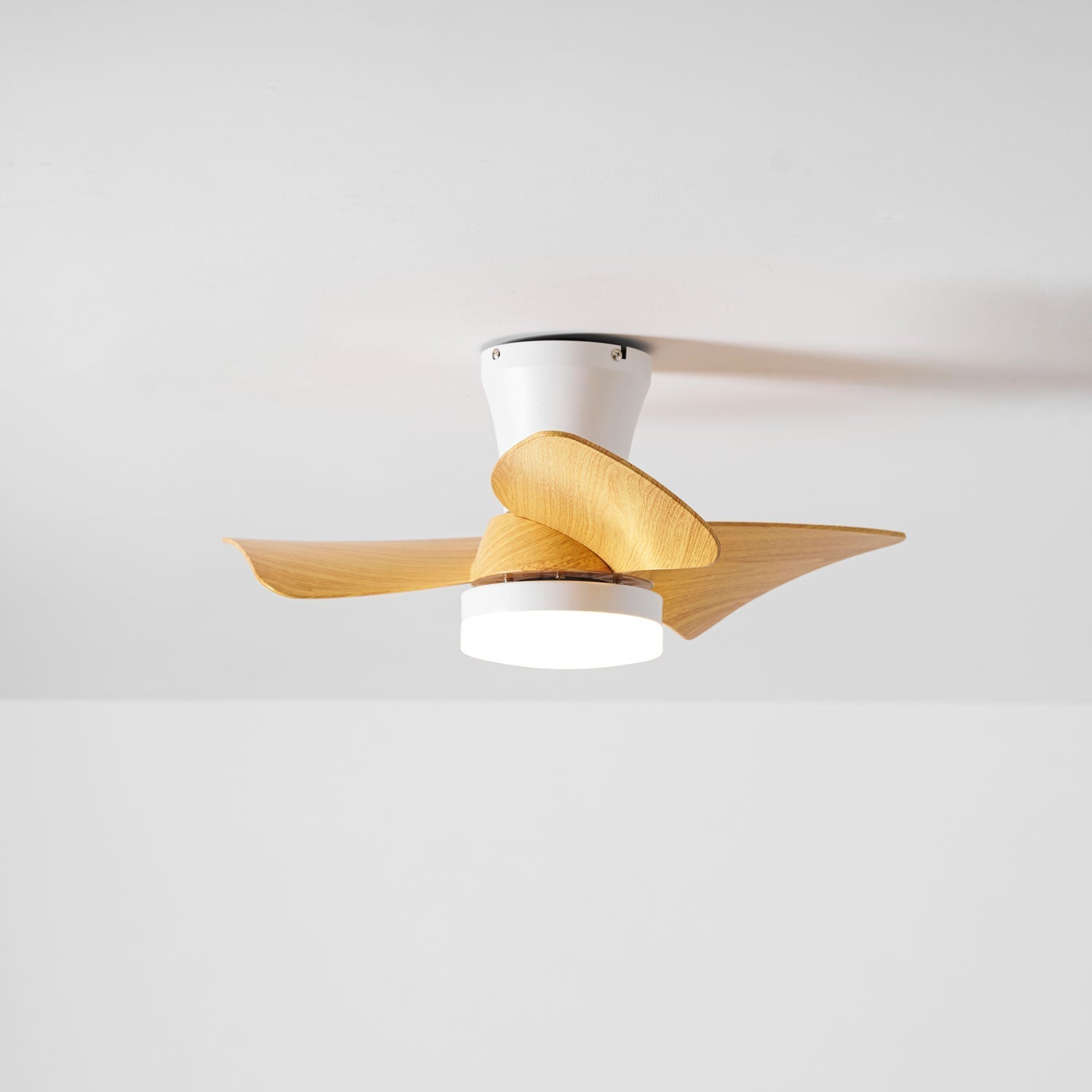 Toralay Ceiling Fan Light
