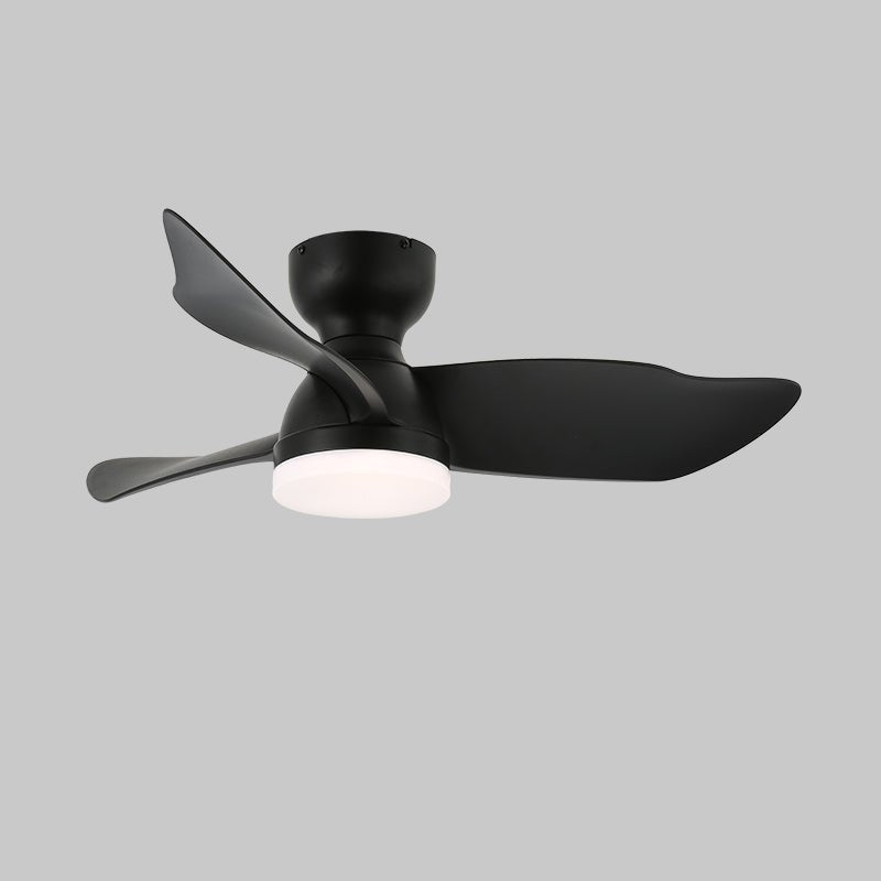 Toralay Ceiling Fan Light