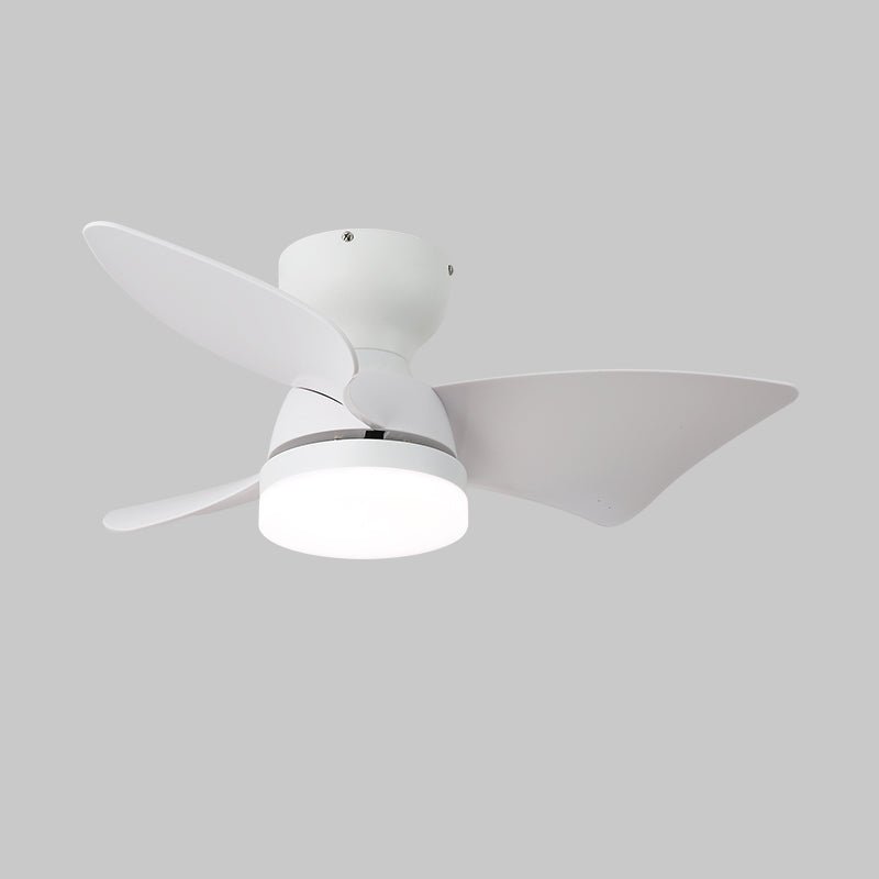 Toralay Ceiling Fan Light