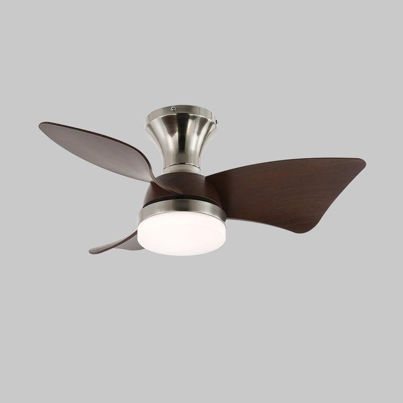 Toralay Ceiling Fan Light