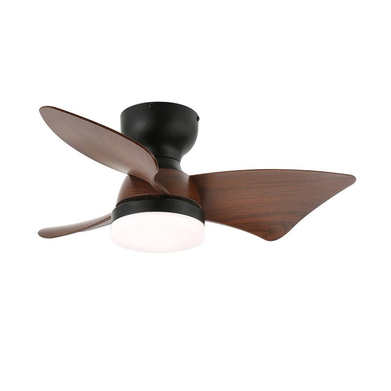 Toralay Ceiling Fan Light