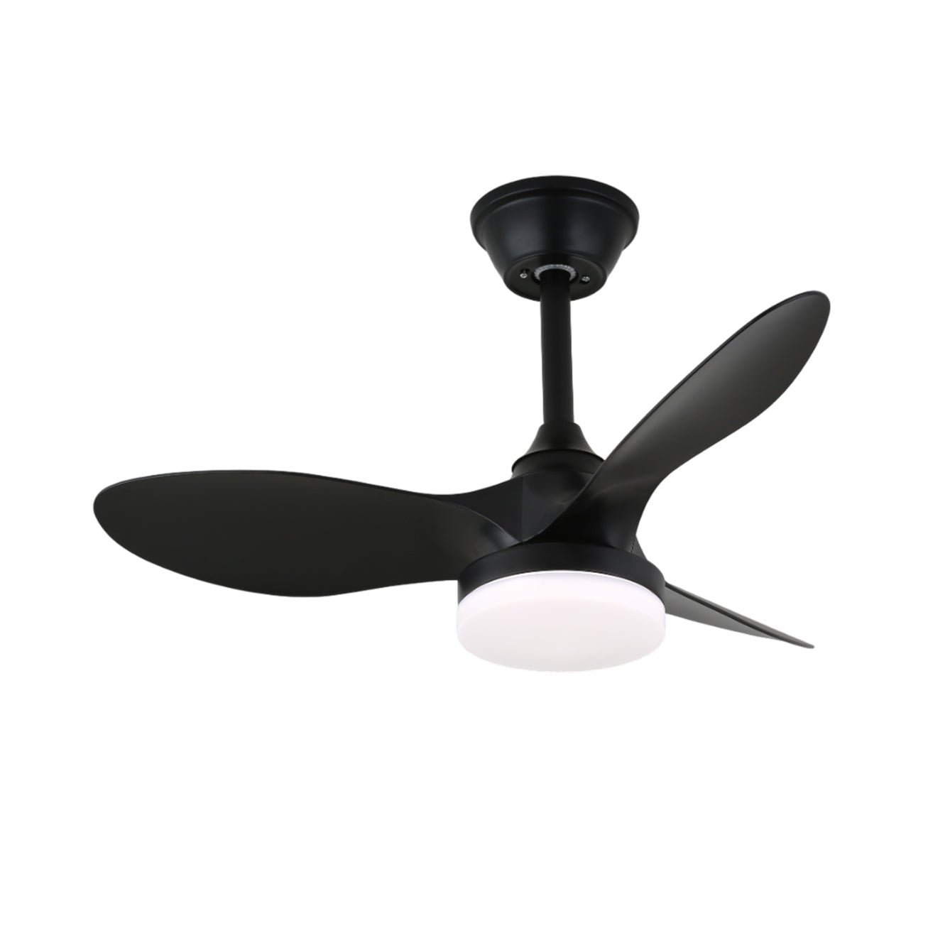 Noallo Ceiling Fan Light