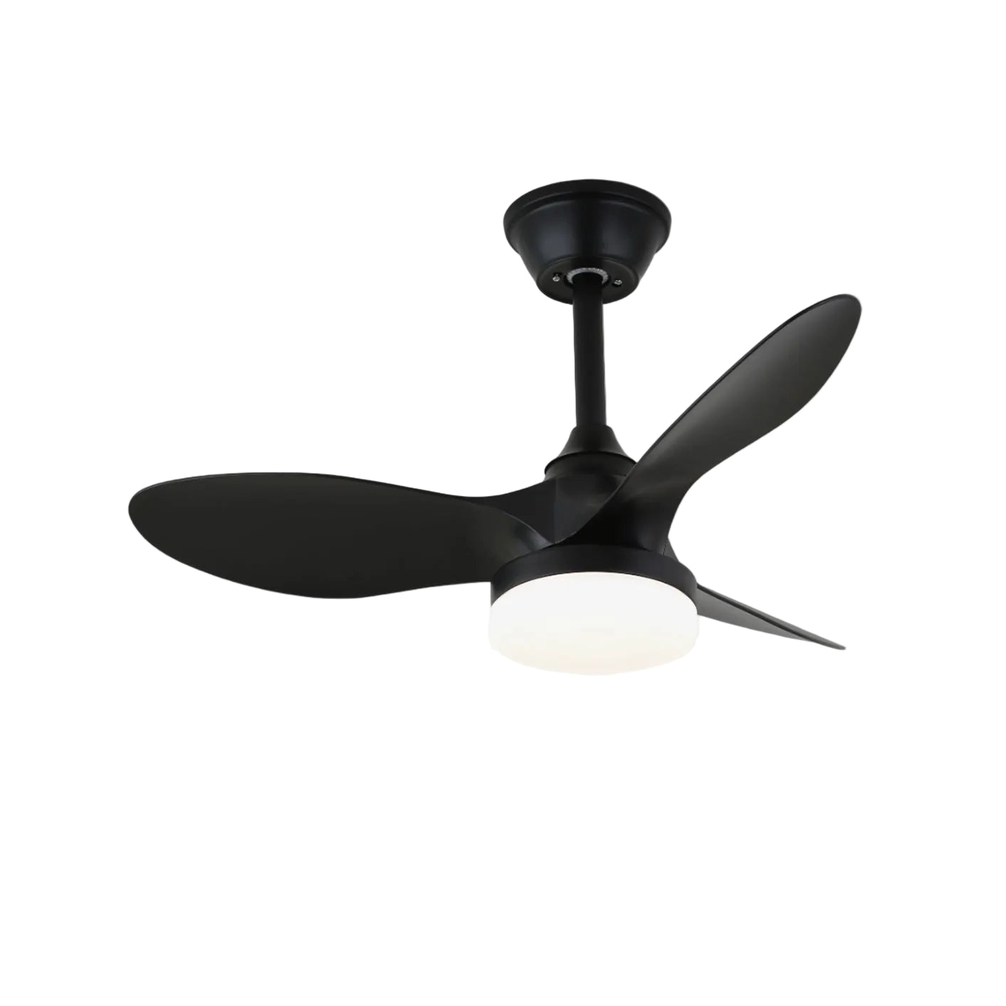 Noallo Ceiling Fan Light