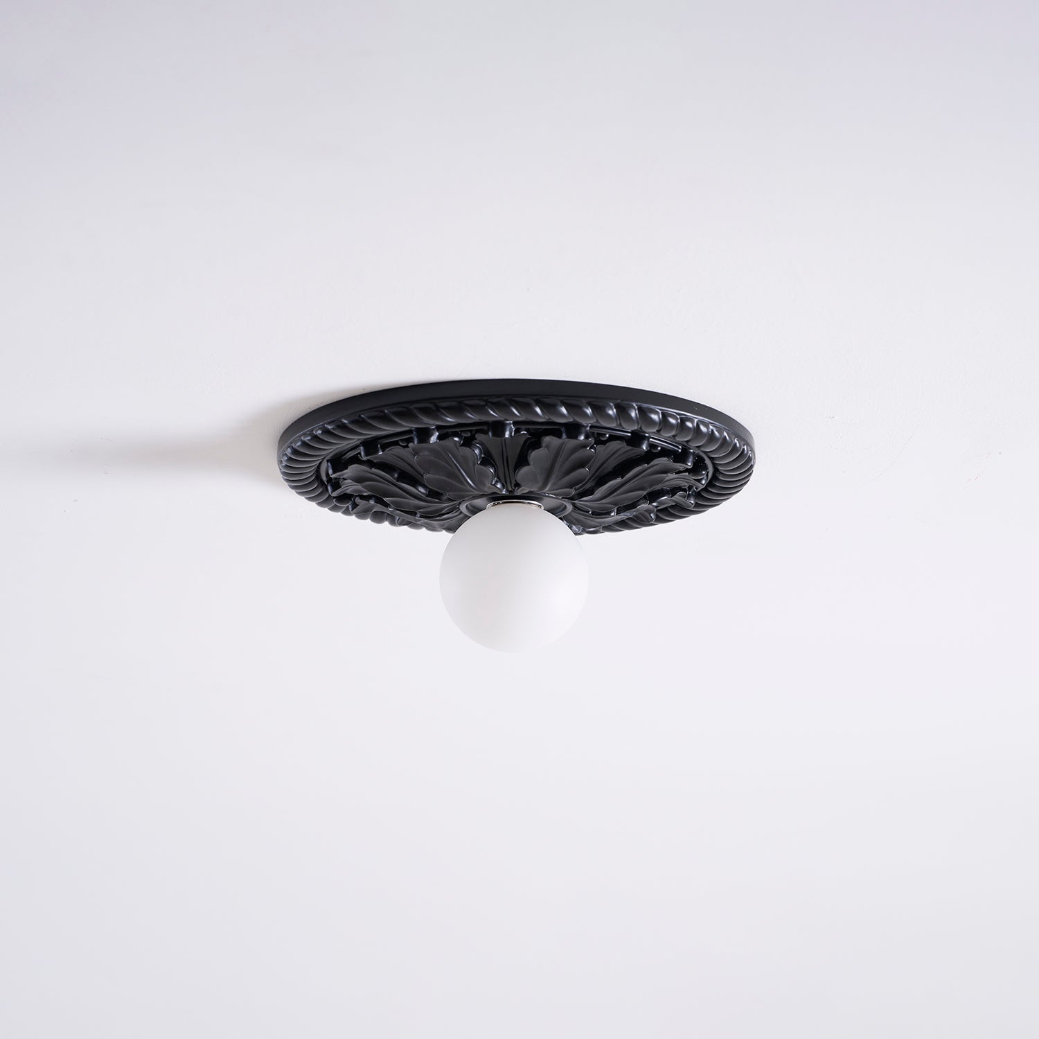 Paxsonal Outdoor Ceiling Light