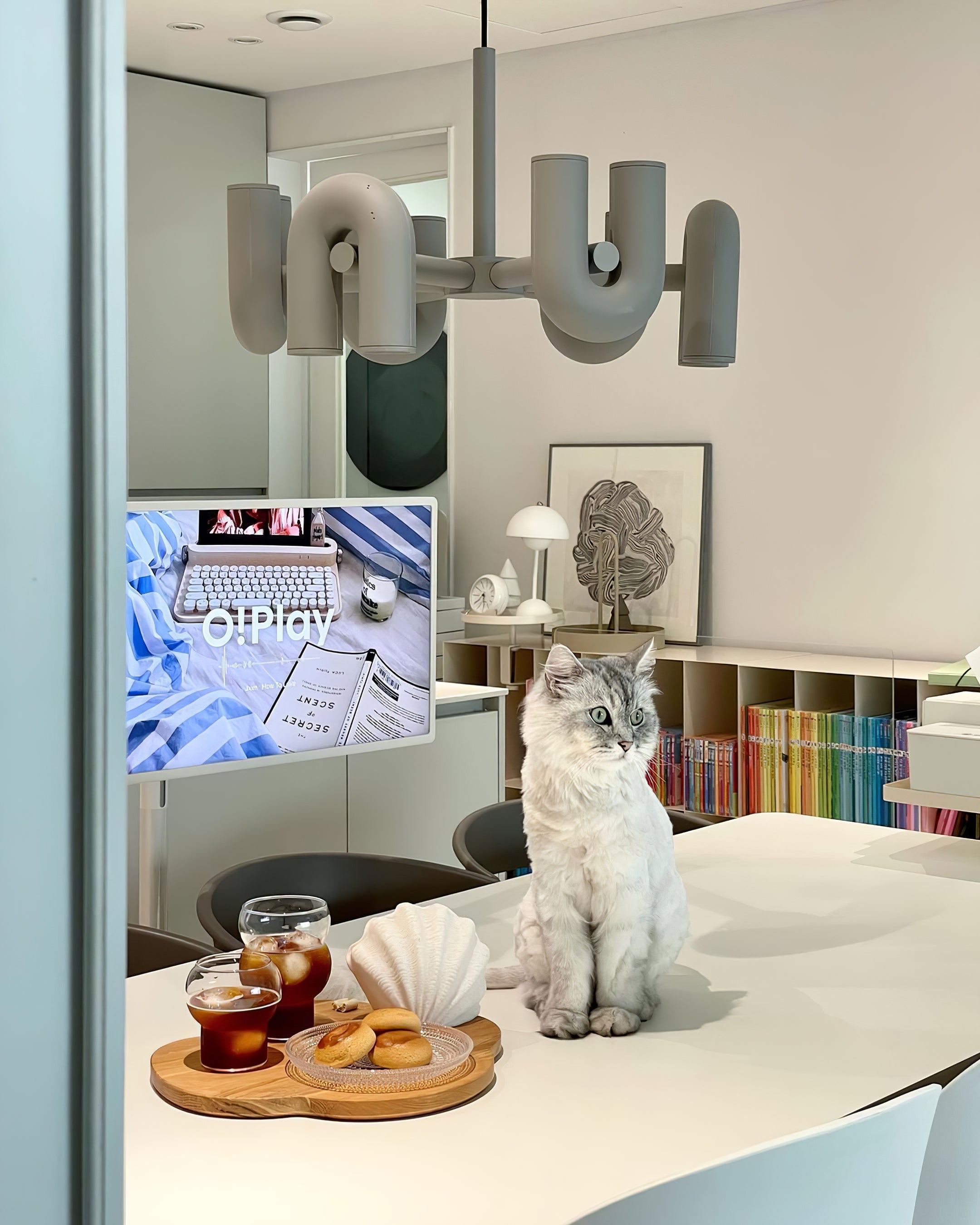 Foxleyo Modern Chandelier