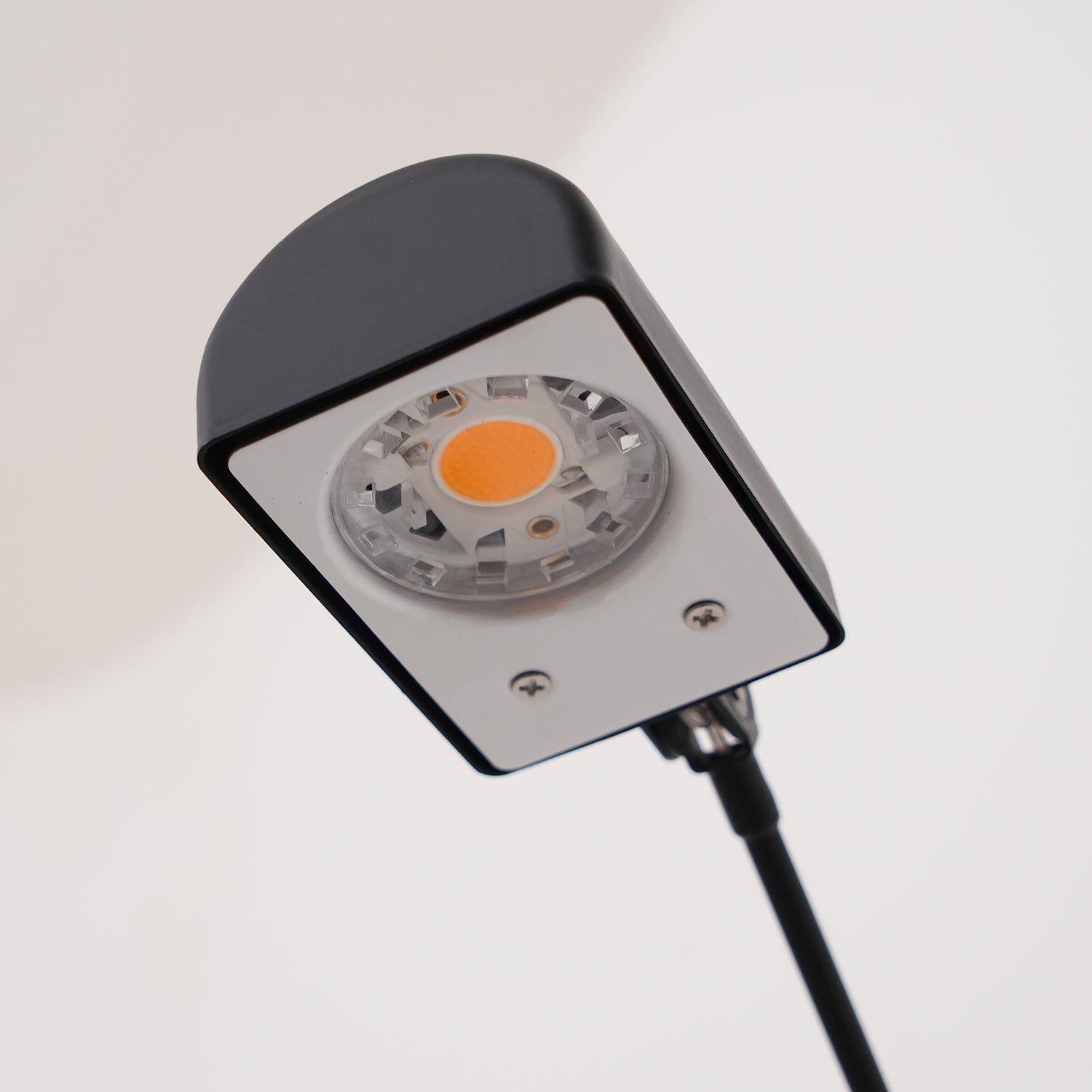 Halelyn Floor Lamp