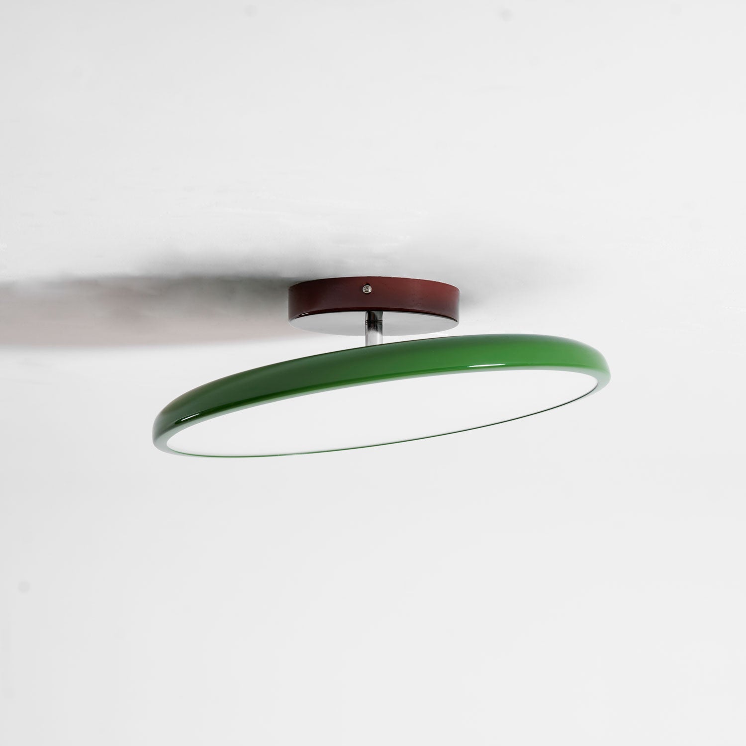 Rioas Adjustable Ceiling Light