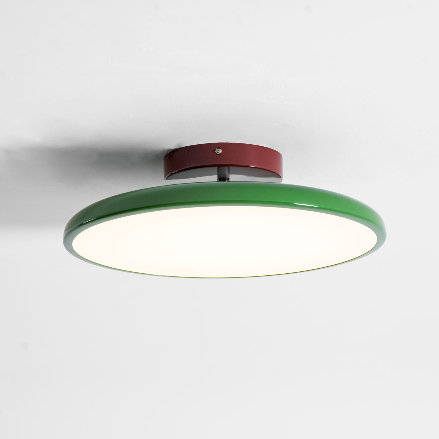 Rioas Adjustable Ceiling Light