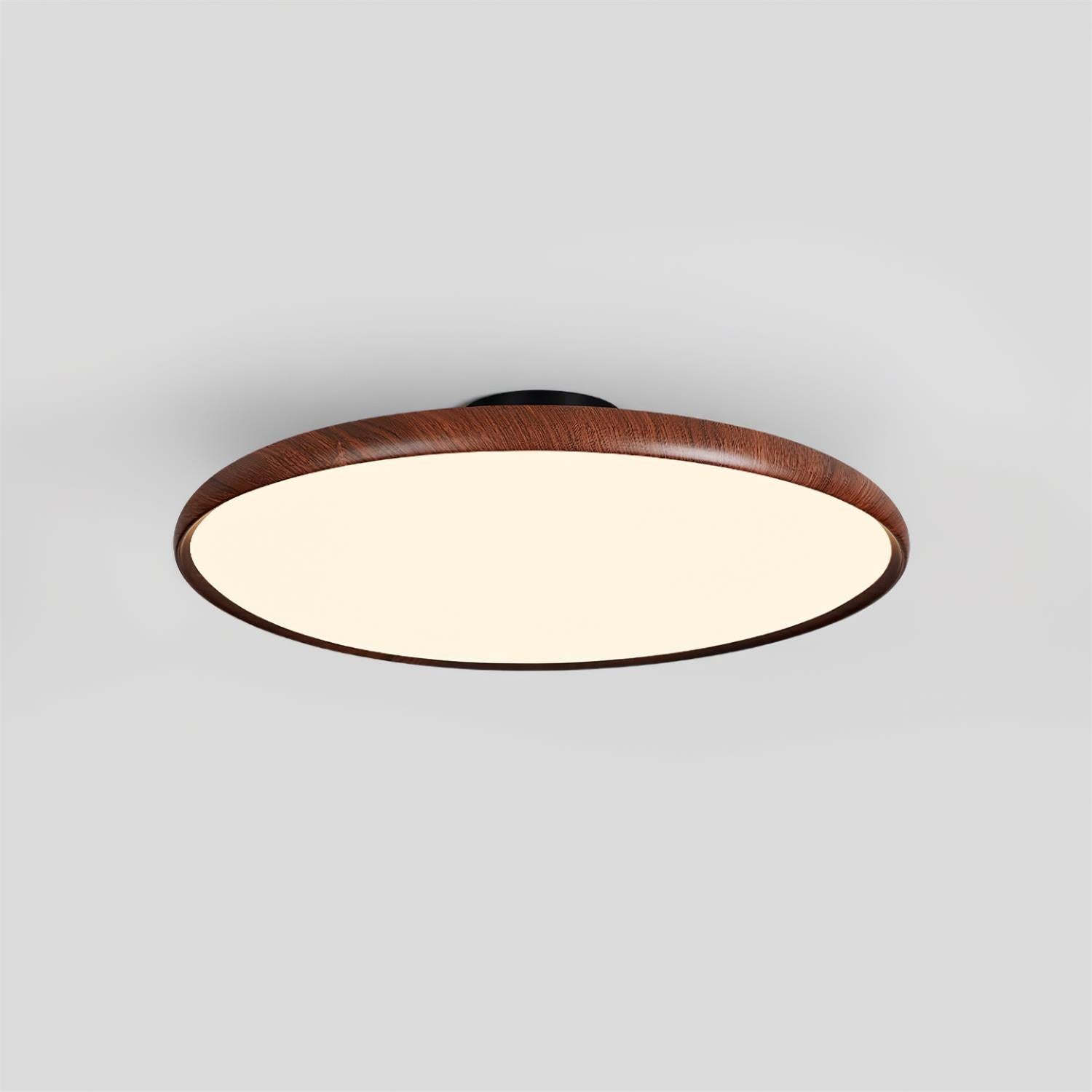 Talime Ceiling Light