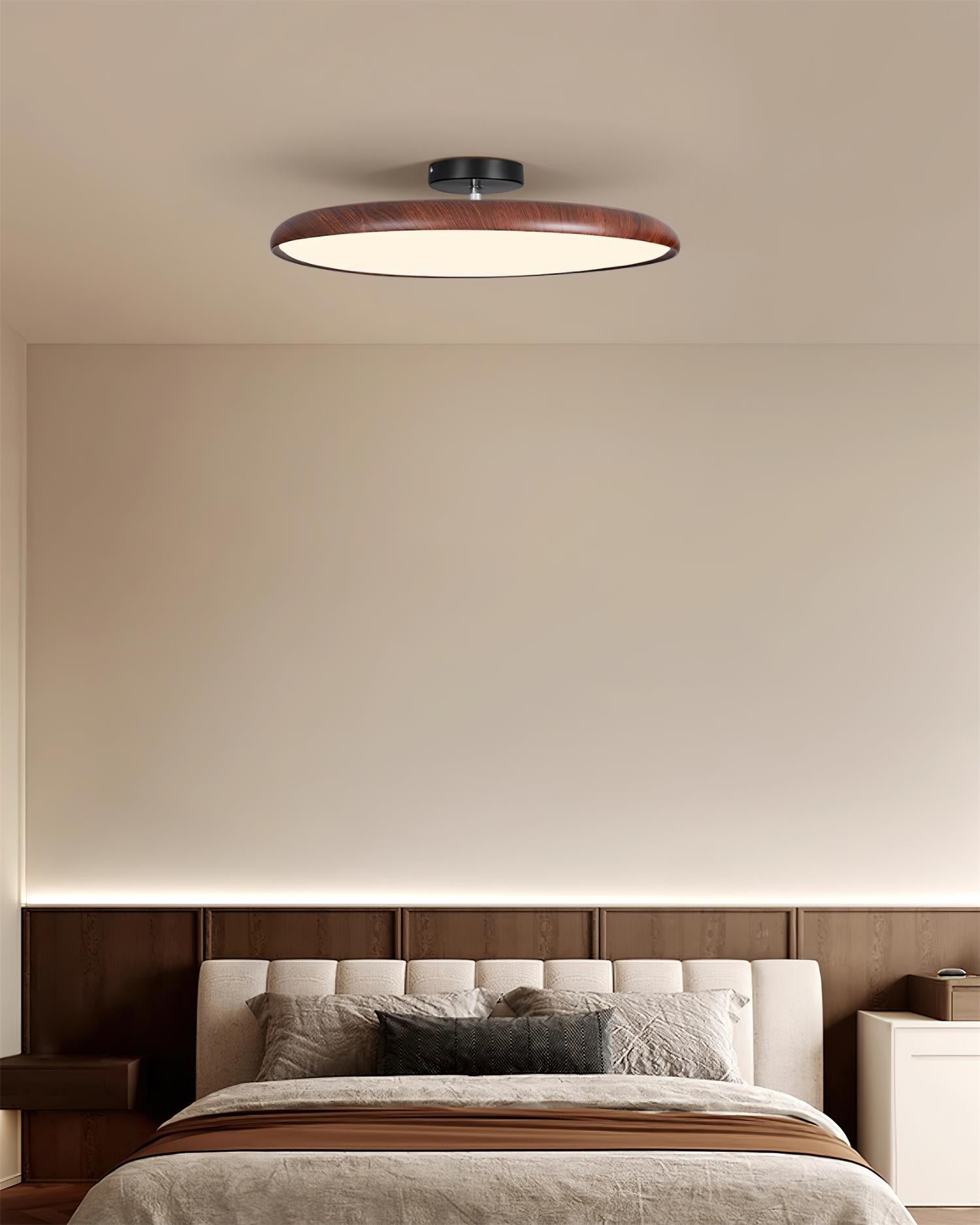 Talime Ceiling Light