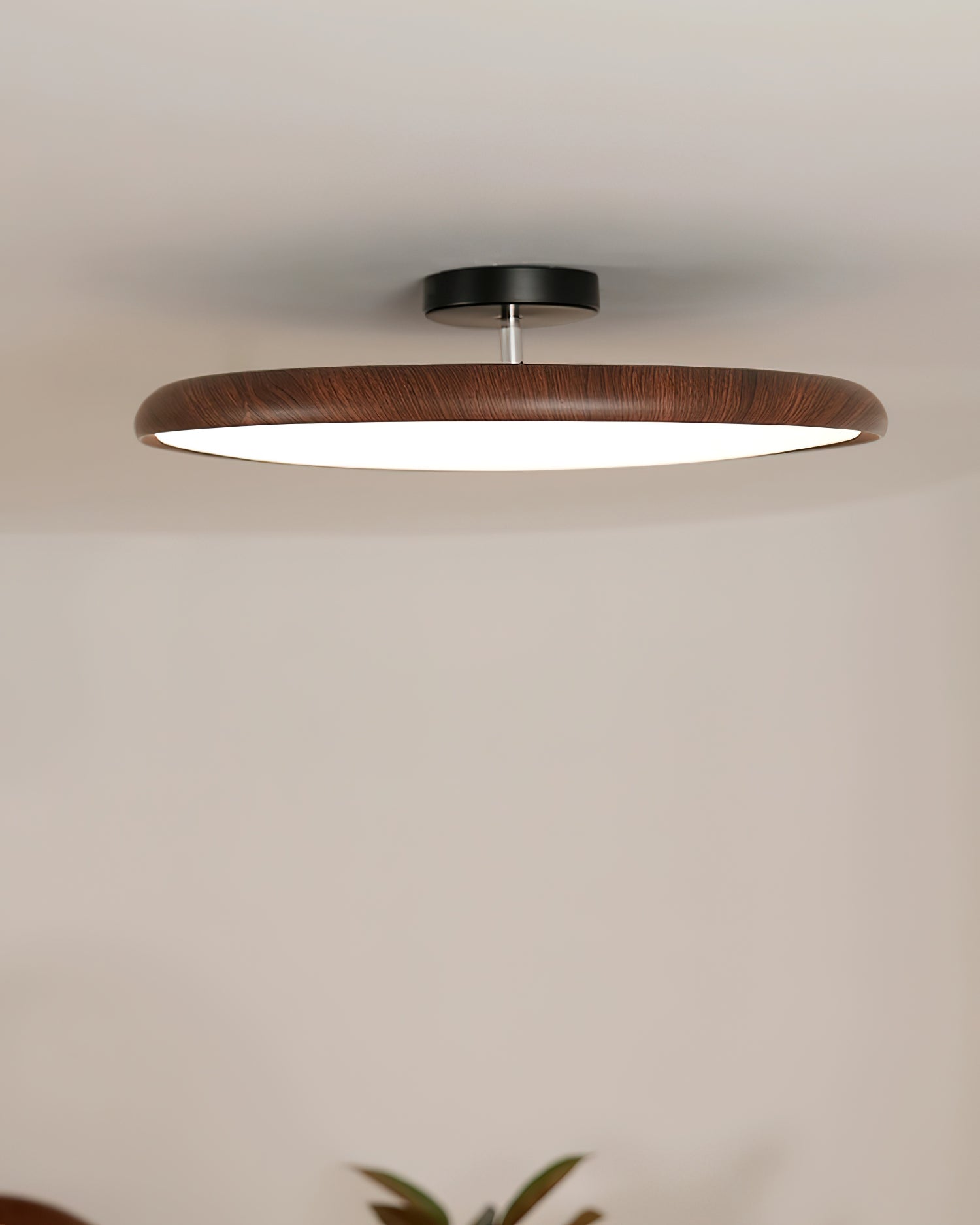 Talime Ceiling Light