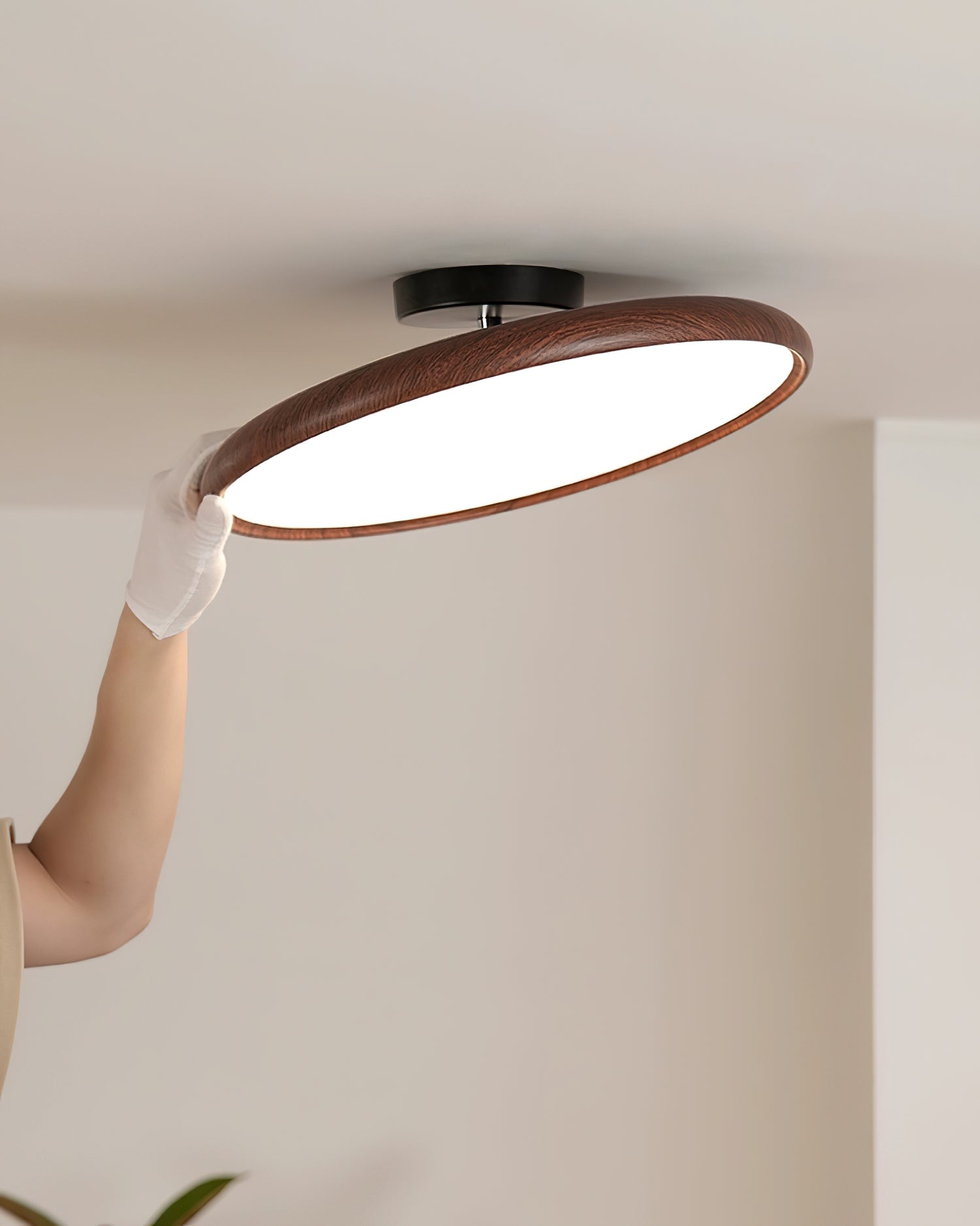 Talime Ceiling Light