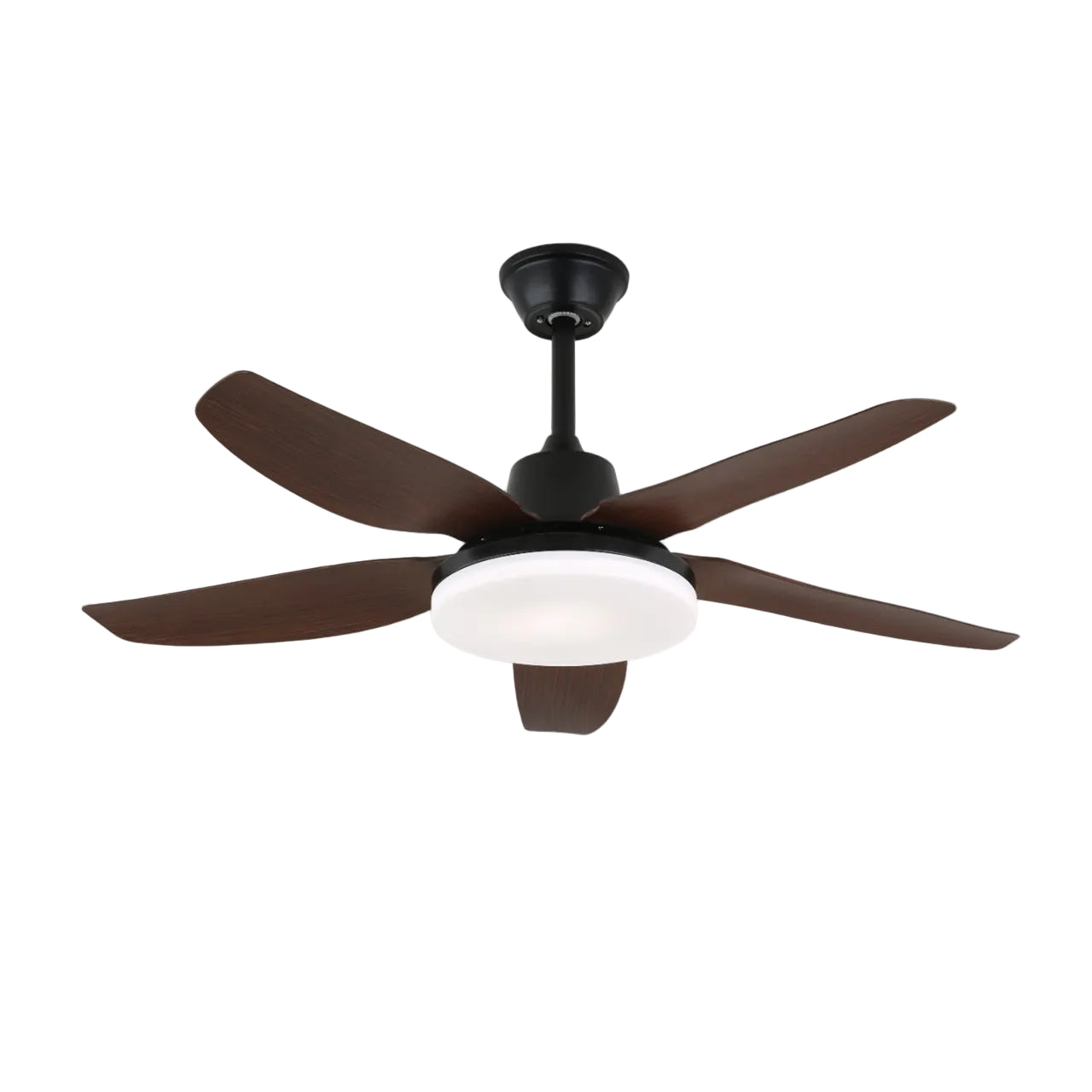Milomia Ceiling Fan Light