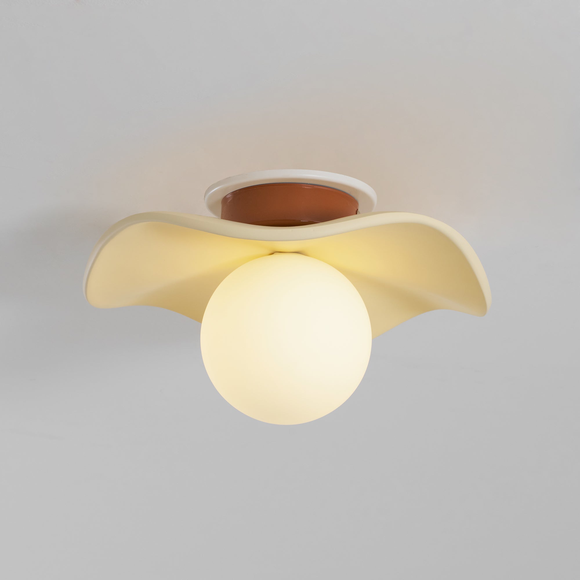 Noaeye Ceiling Light