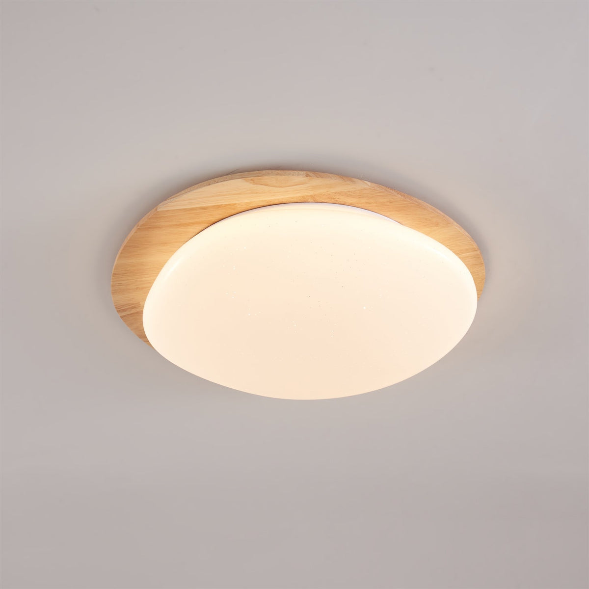 Junovalo Minimalist Ceiling Light