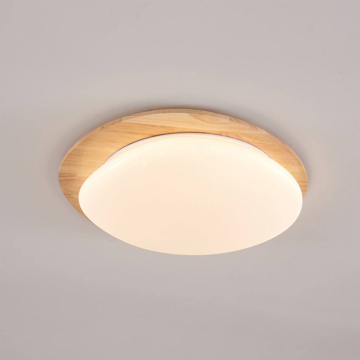 Junovalo Minimalist Ceiling Light