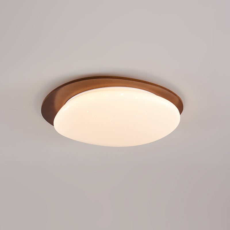 Junovalo Minimalist Ceiling Light