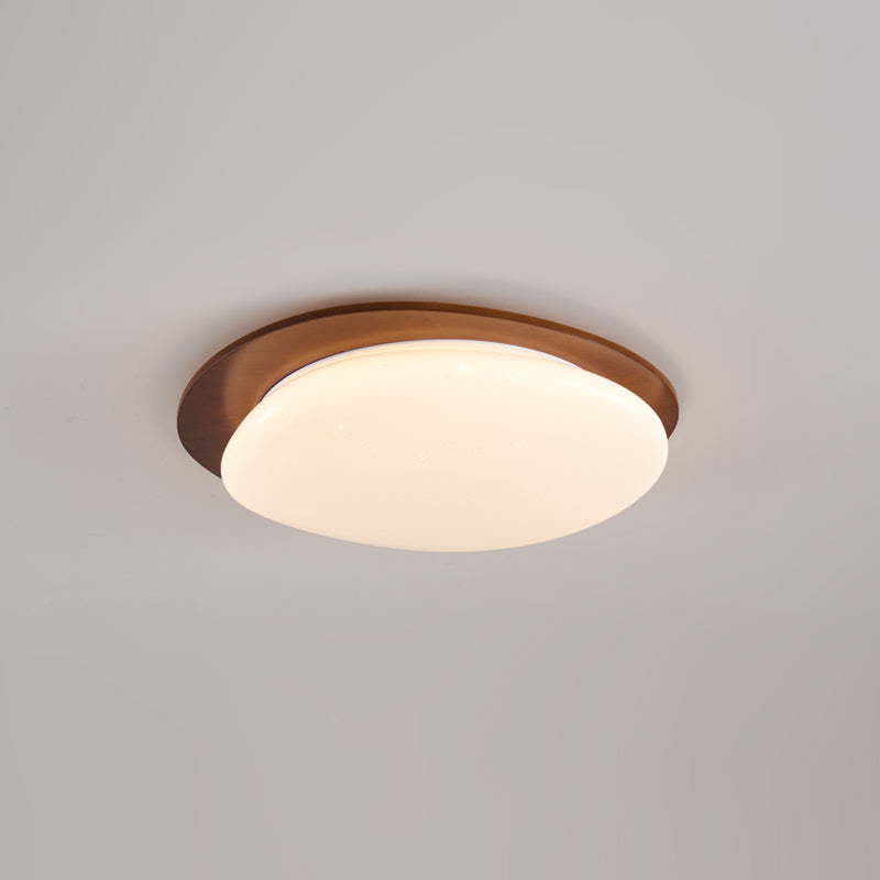 Junovalo Minimalist Ceiling Light