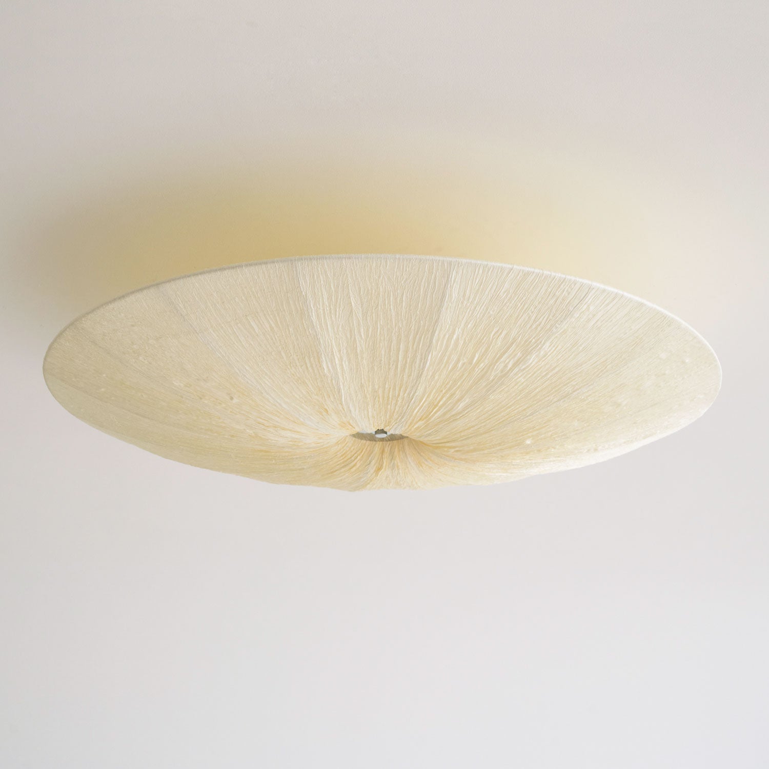Junovenlo Tassel Ceiling Light