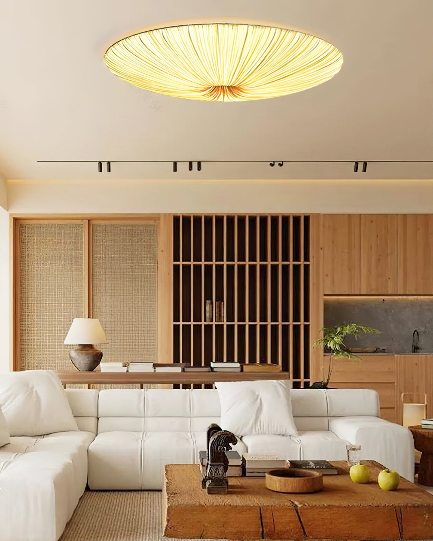 Junovenlo Tassel Ceiling Light