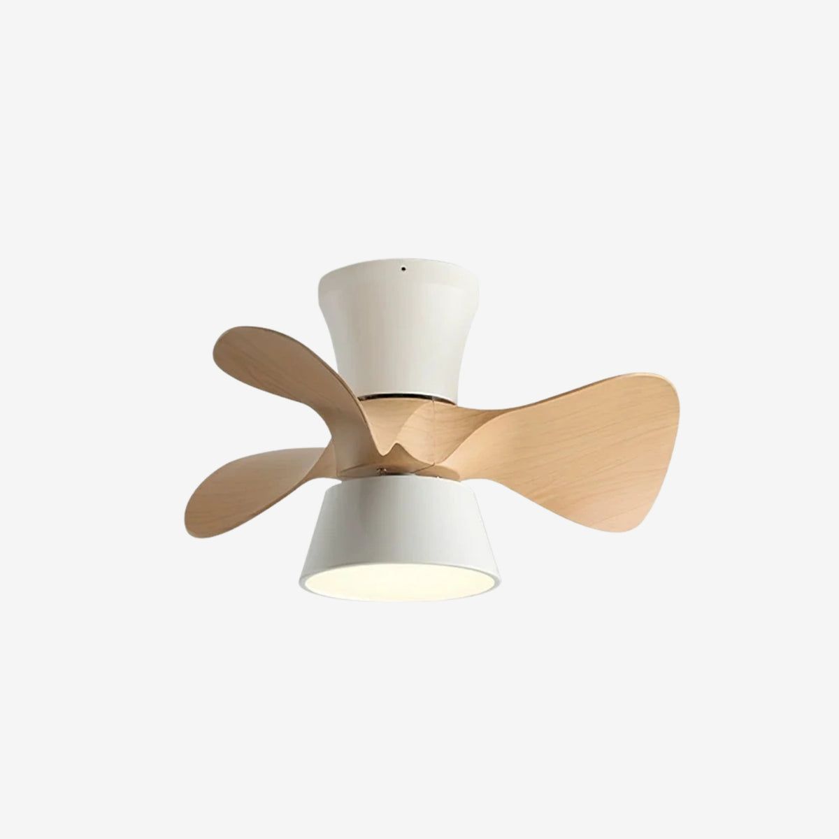 Foxero Ceiling Fan Light