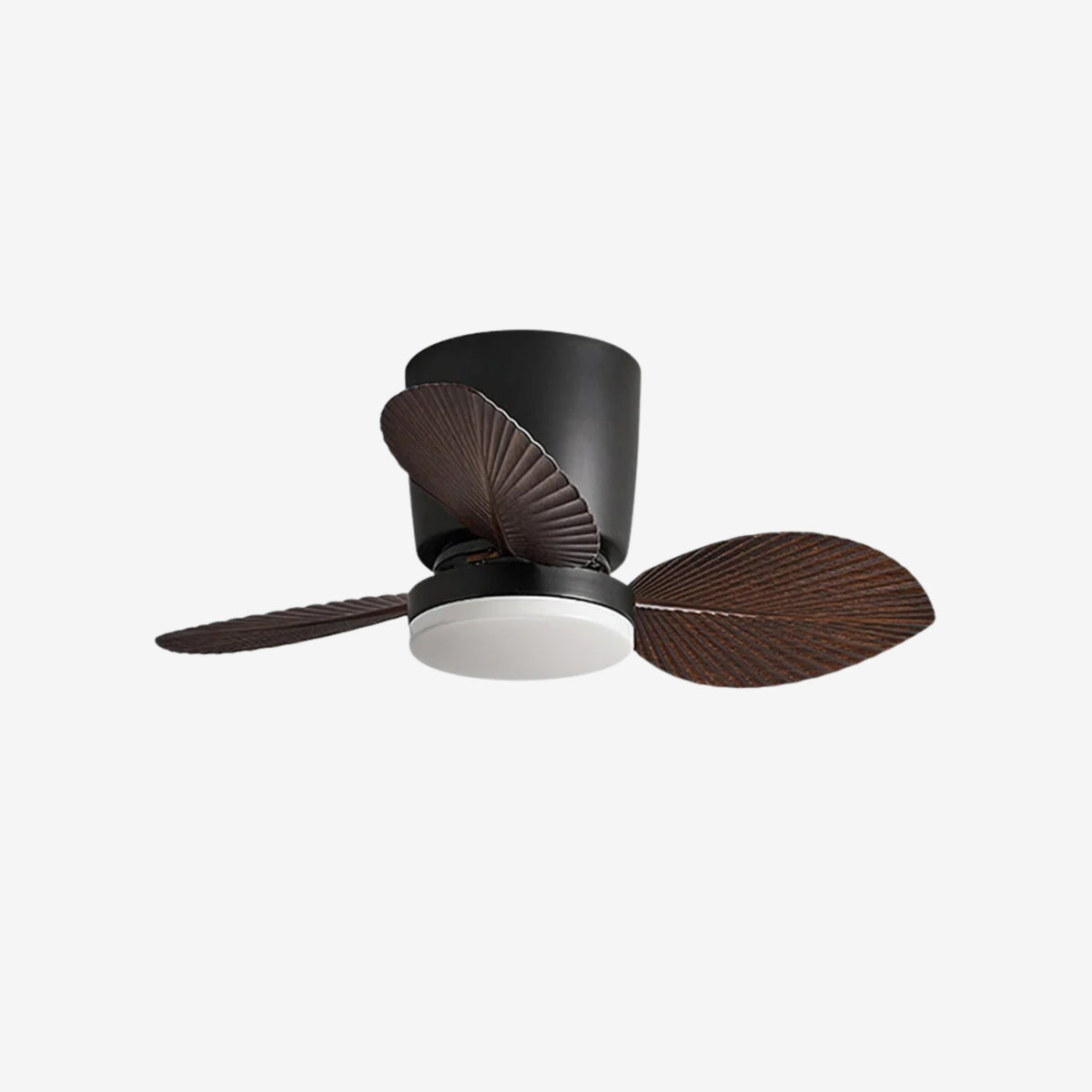 Viroas Ceiling Fan Light