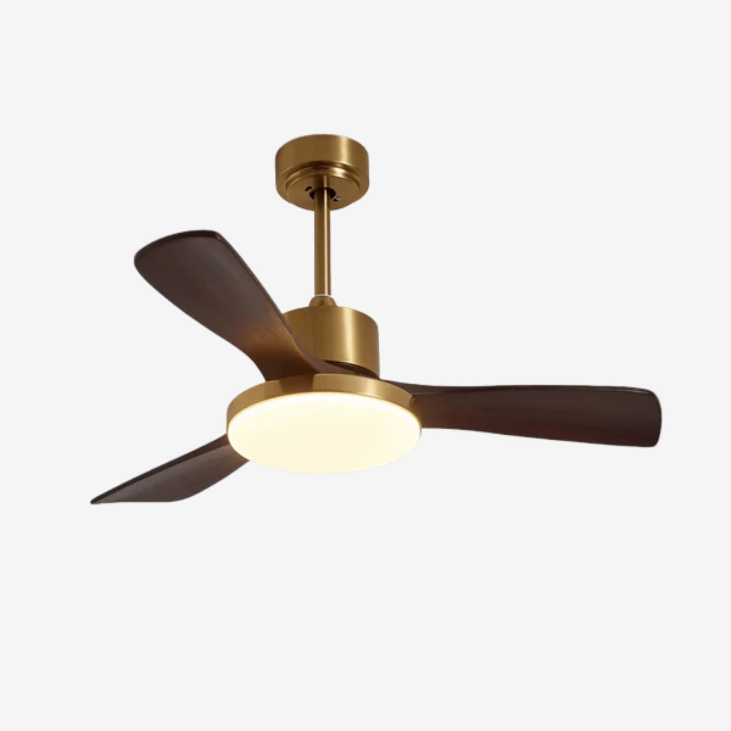 Virova Ceiling Fan Light