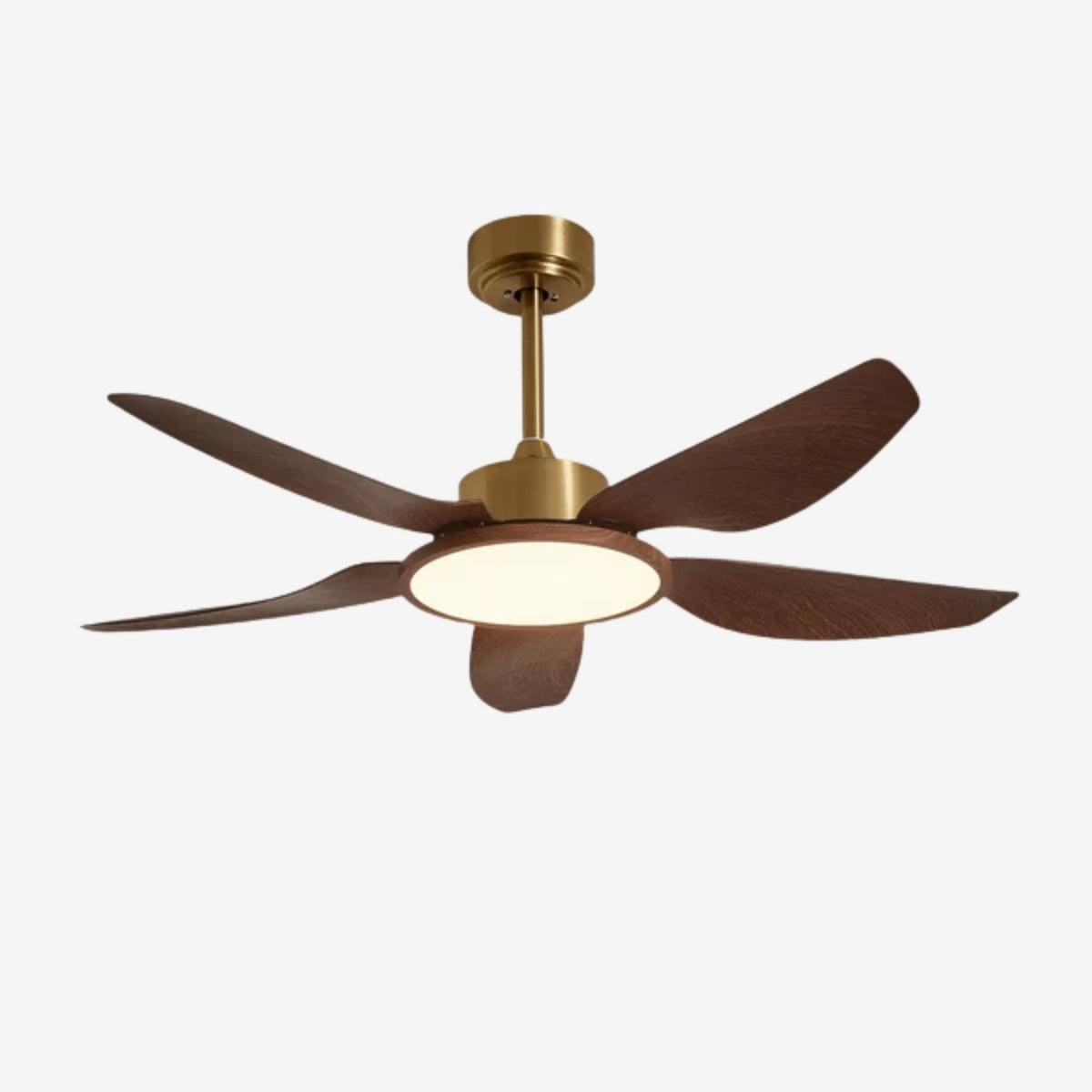 Caselen Ceiling Fan Light