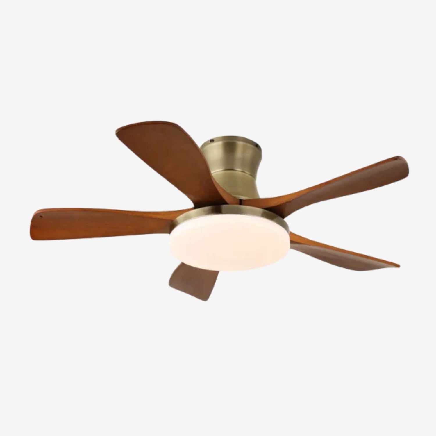 Camon Ceiling Fan Light