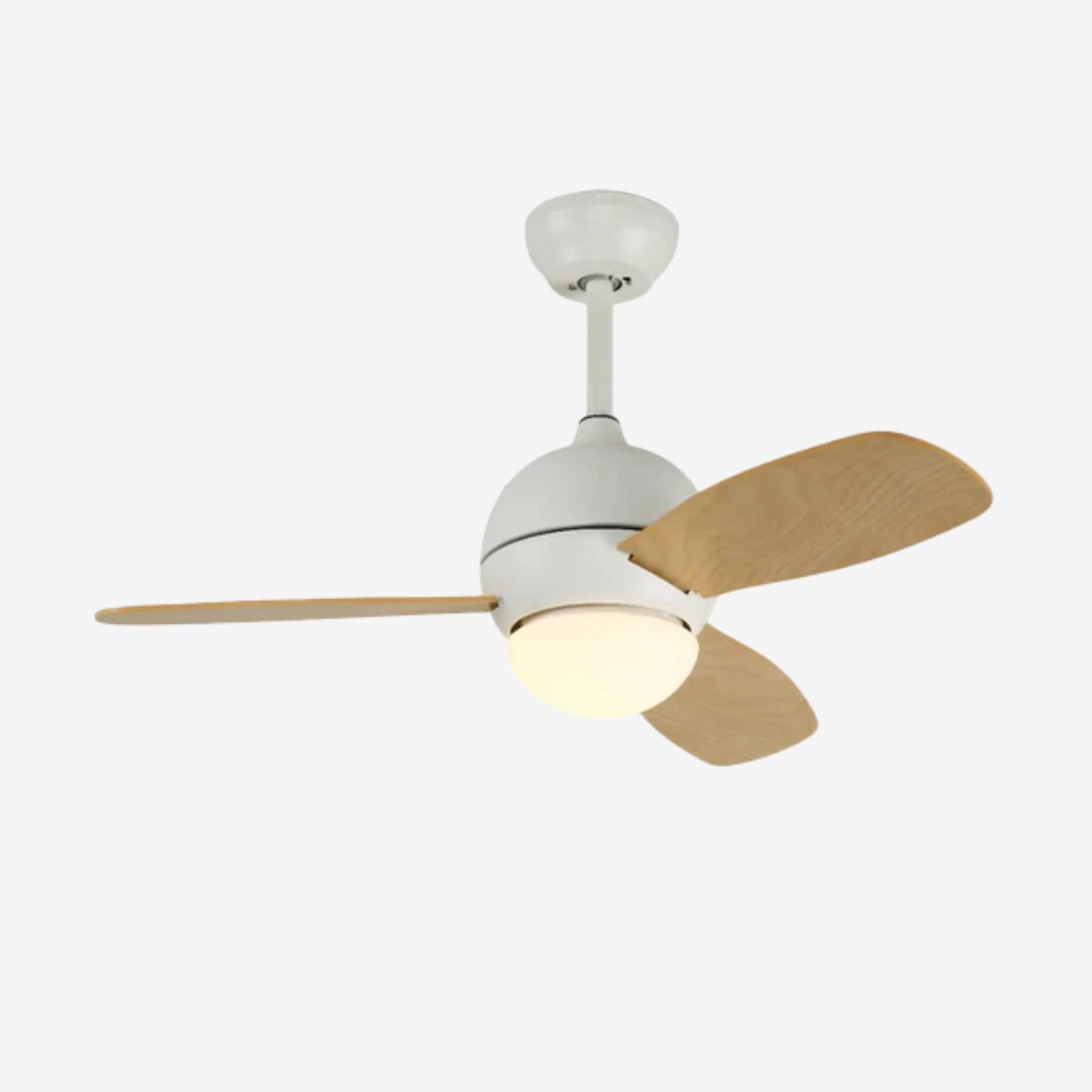 Lanoror Ceiling Fan Light