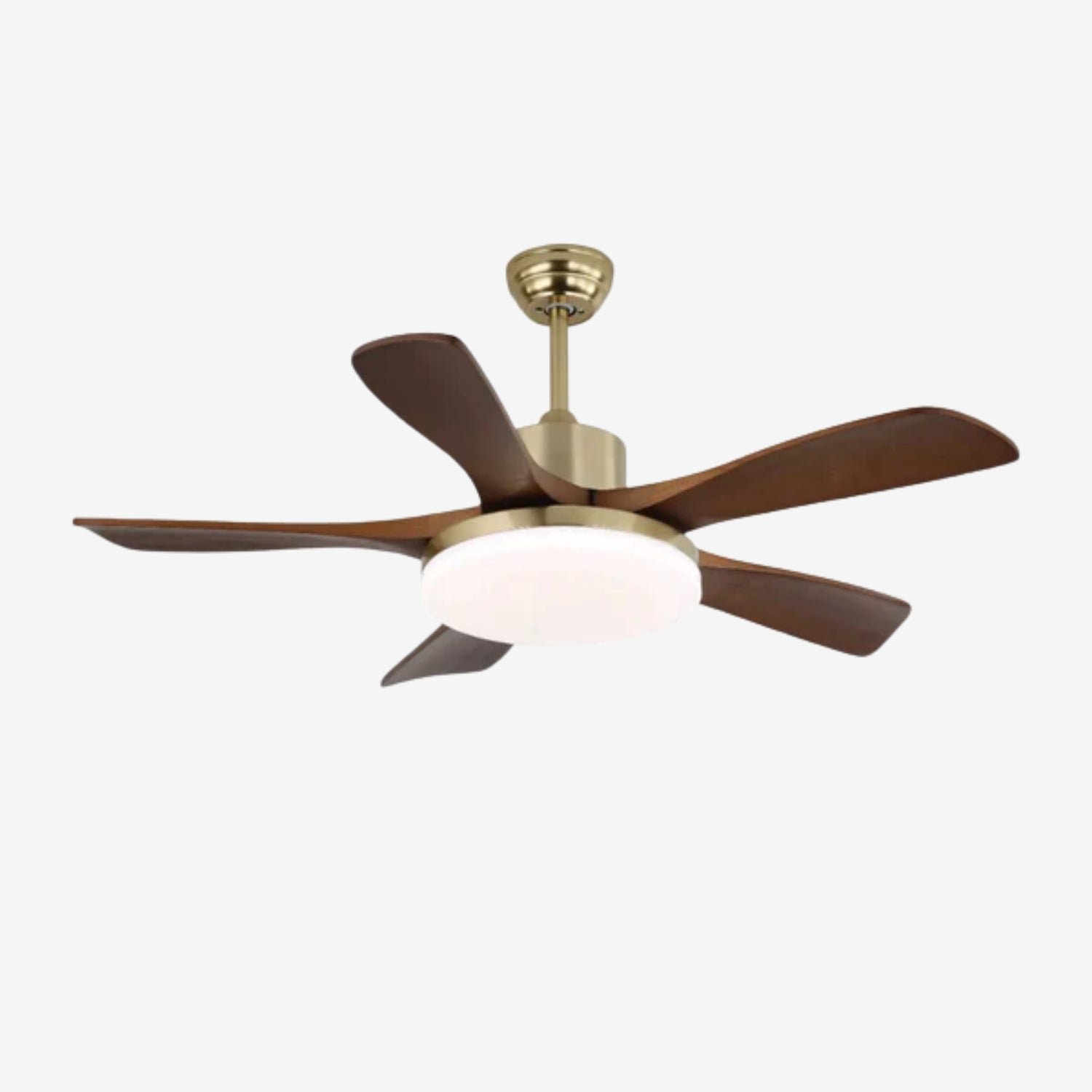 Haleley Ceiling Fan Light