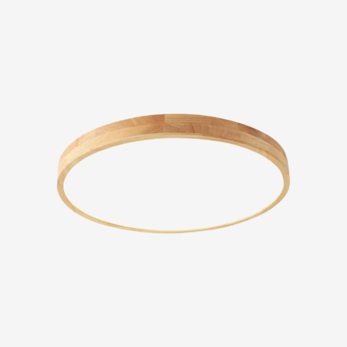 Casralen Outdoor Ceiling Light