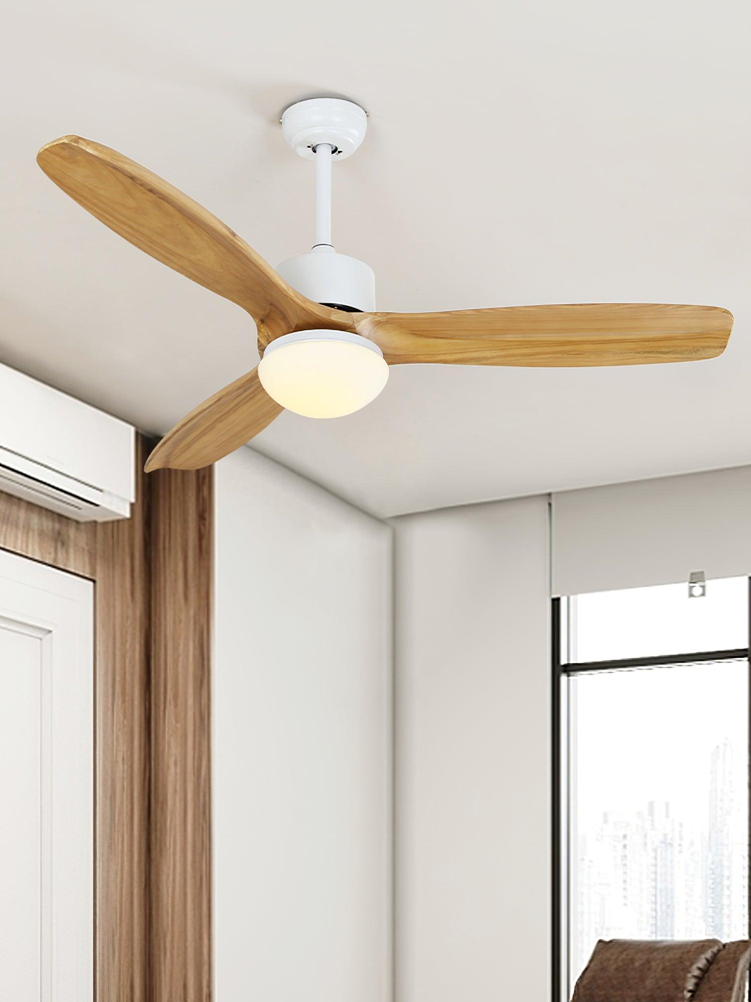 Zelal Ceiling Fan Light