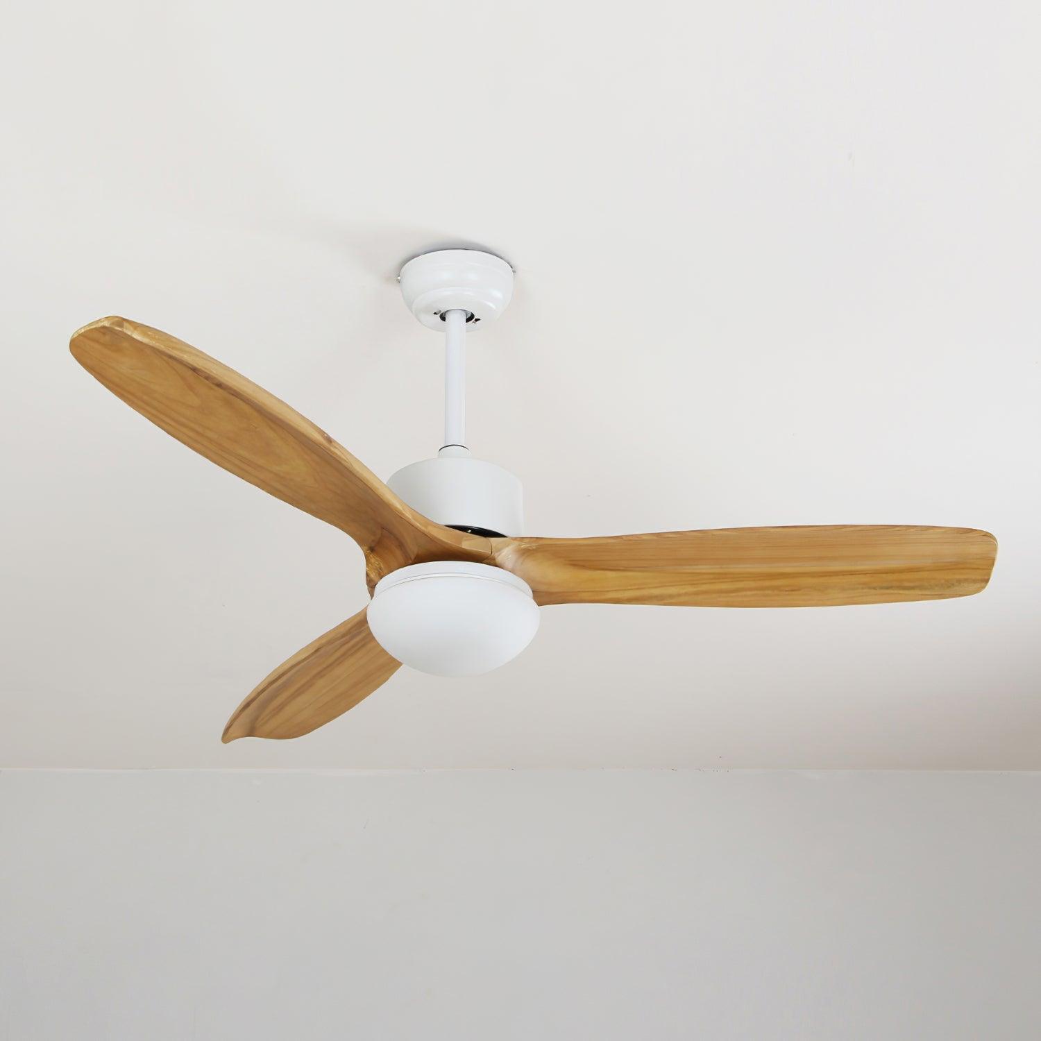 Zelal Ceiling Fan Light