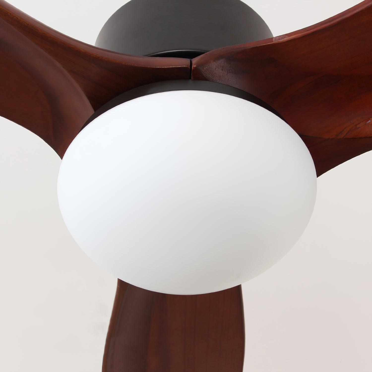 Zelal Ceiling Fan Light