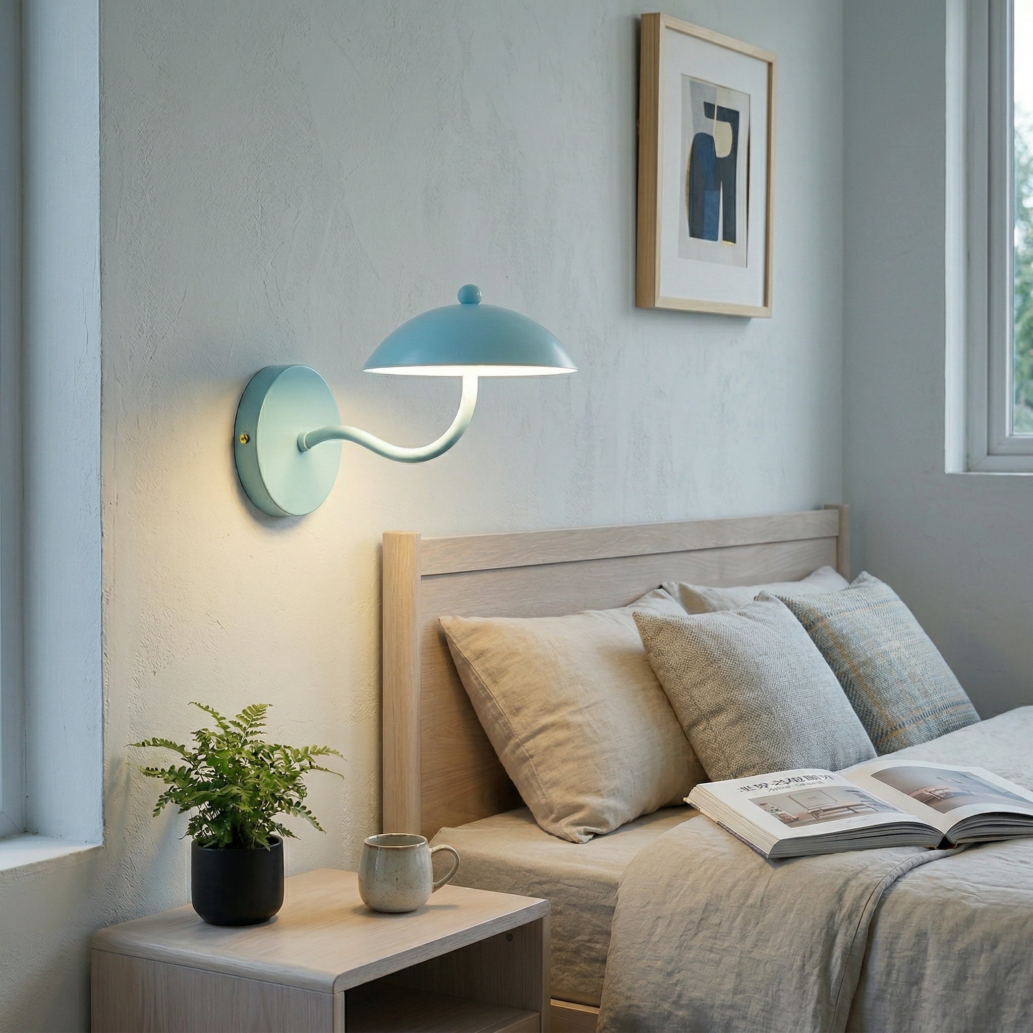 Casnoas Dome Wall Light