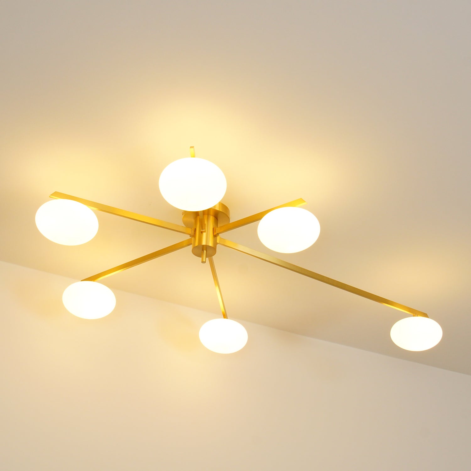 Nolmien Modern Ceiling Light