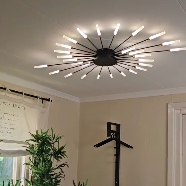 Junola Ceiling Light