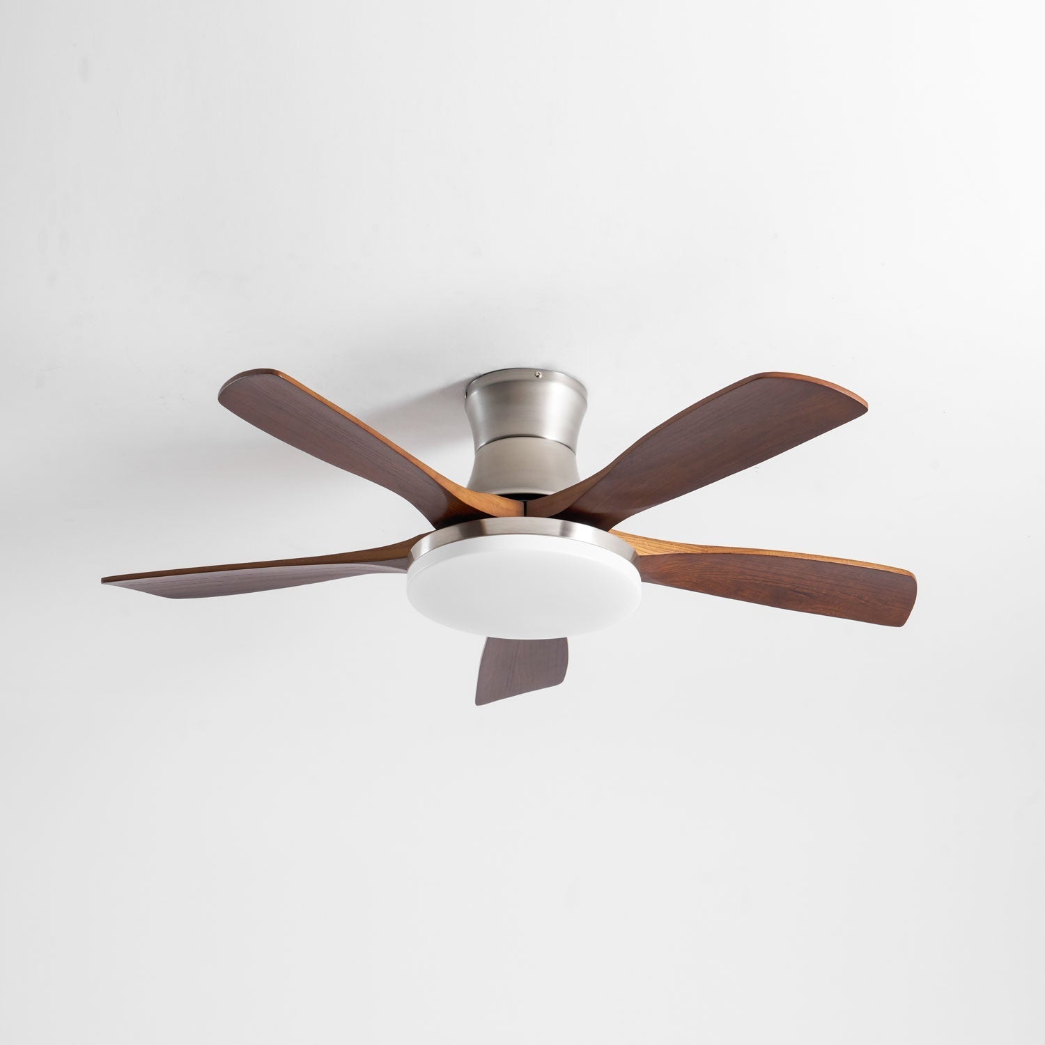Camon Ceiling Fan Light