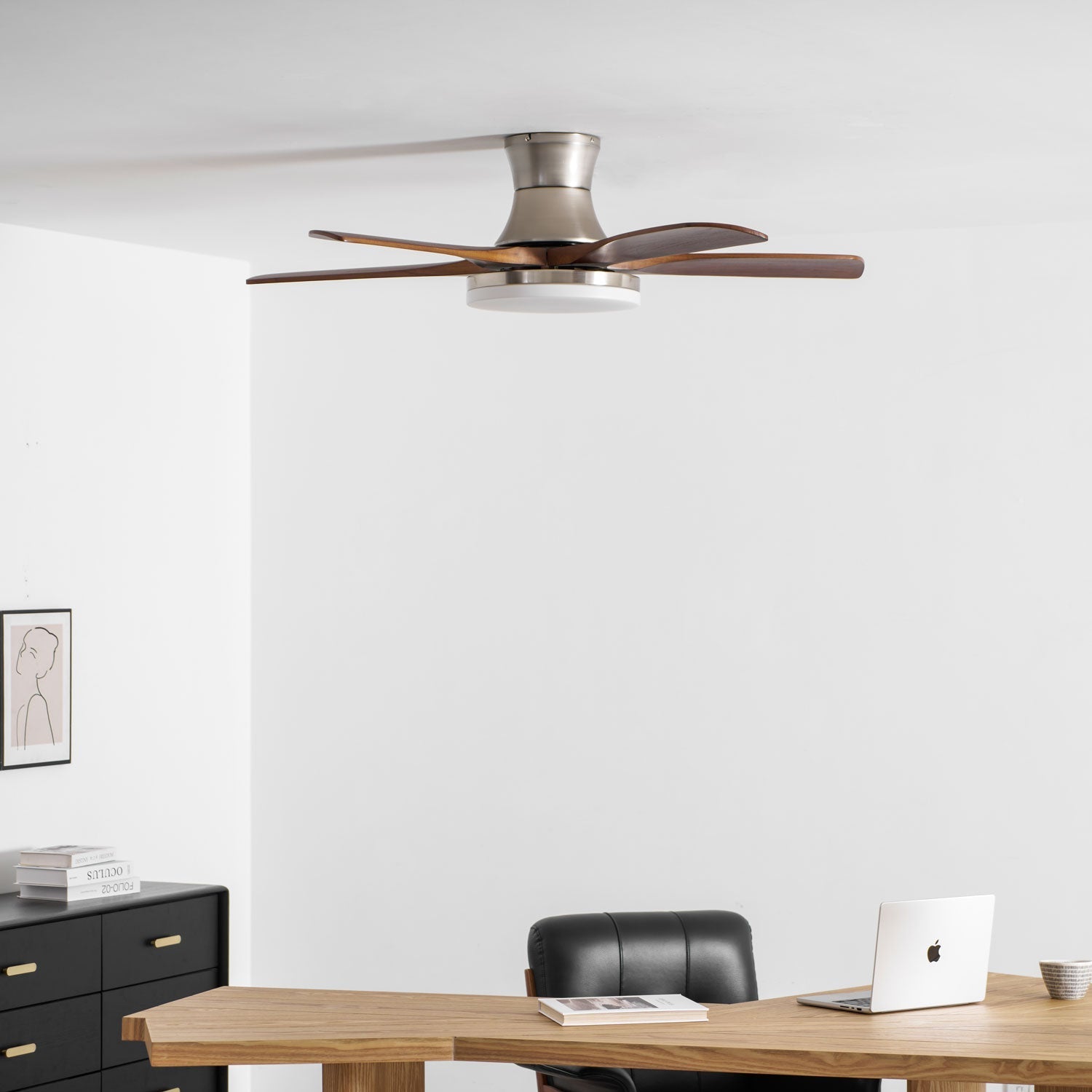 Camon Ceiling Fan Light