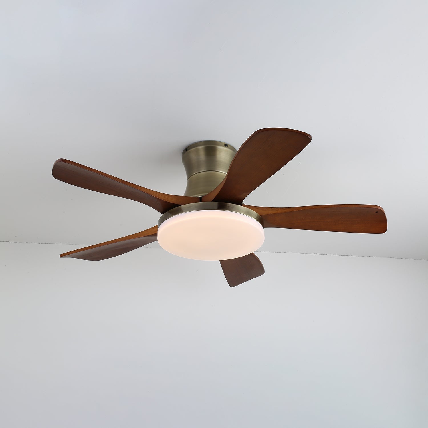 Camon Ceiling Fan Light