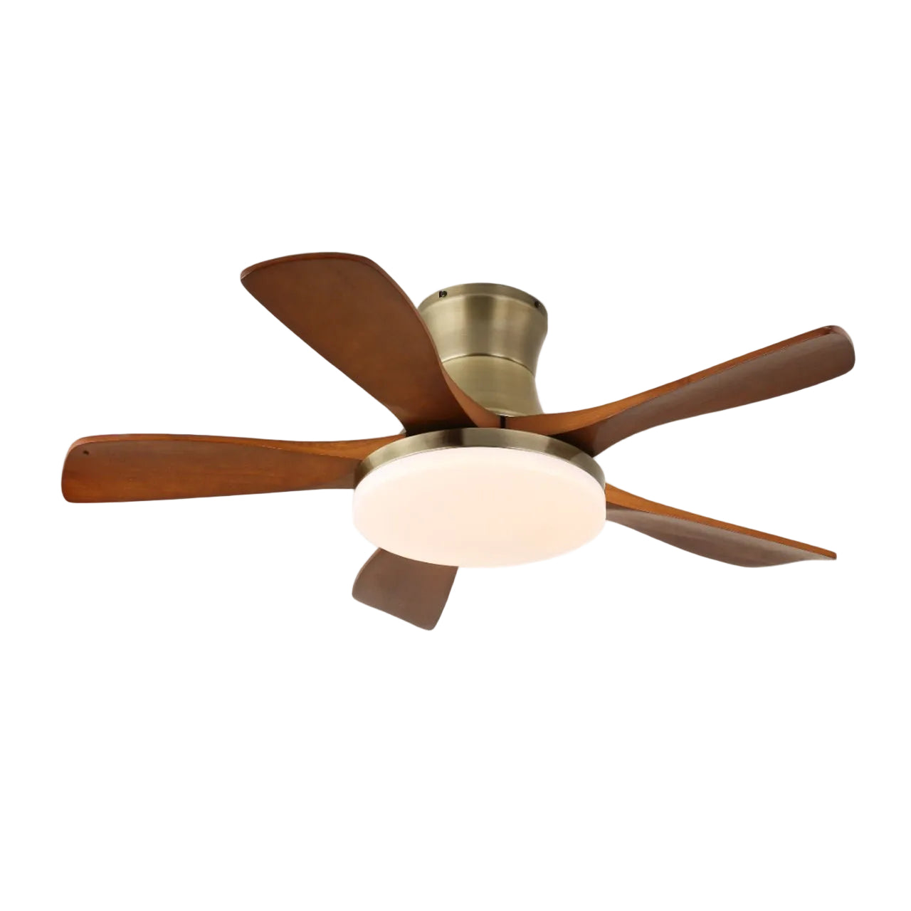 Camon Ceiling Fan Light