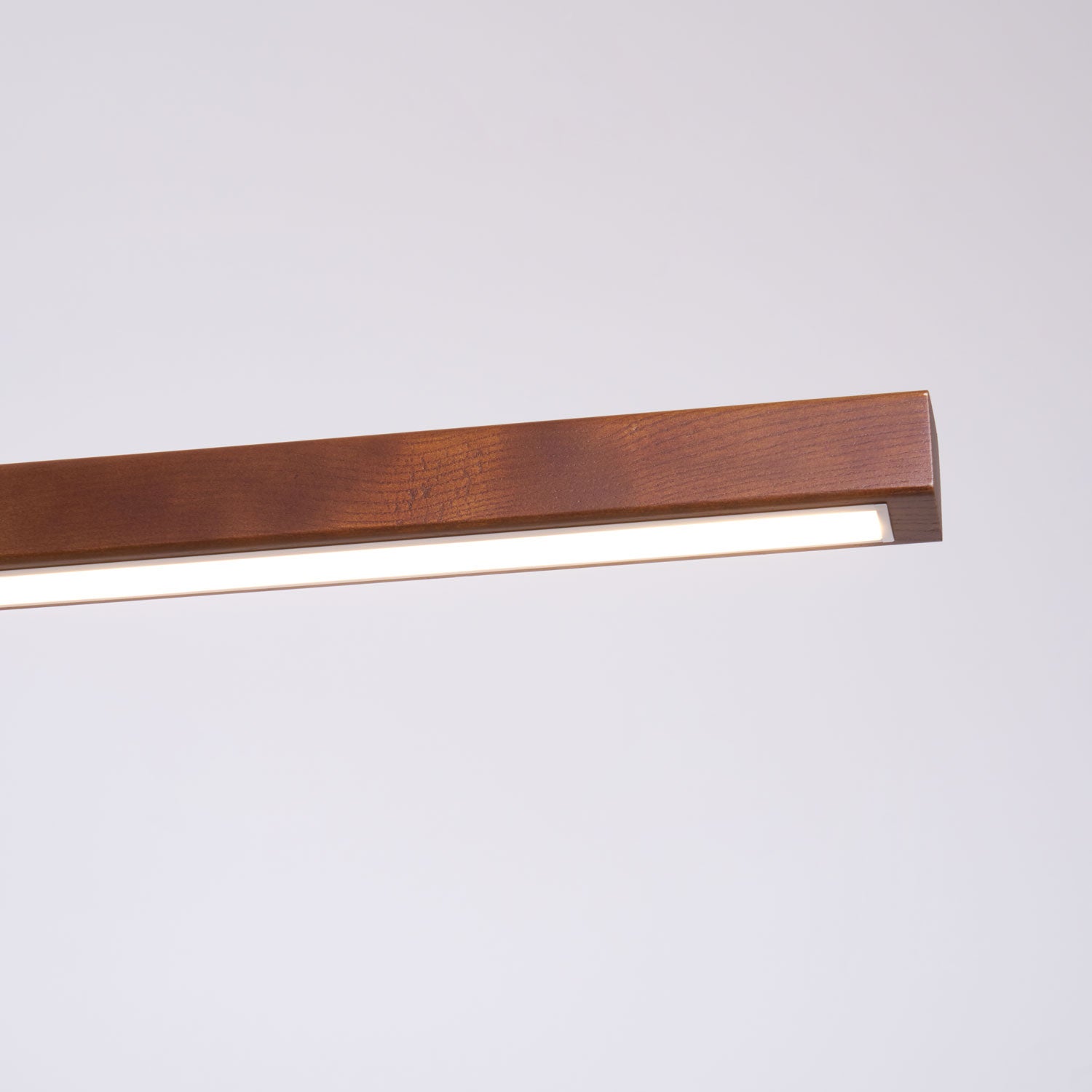 Coral Linear Pendant Light