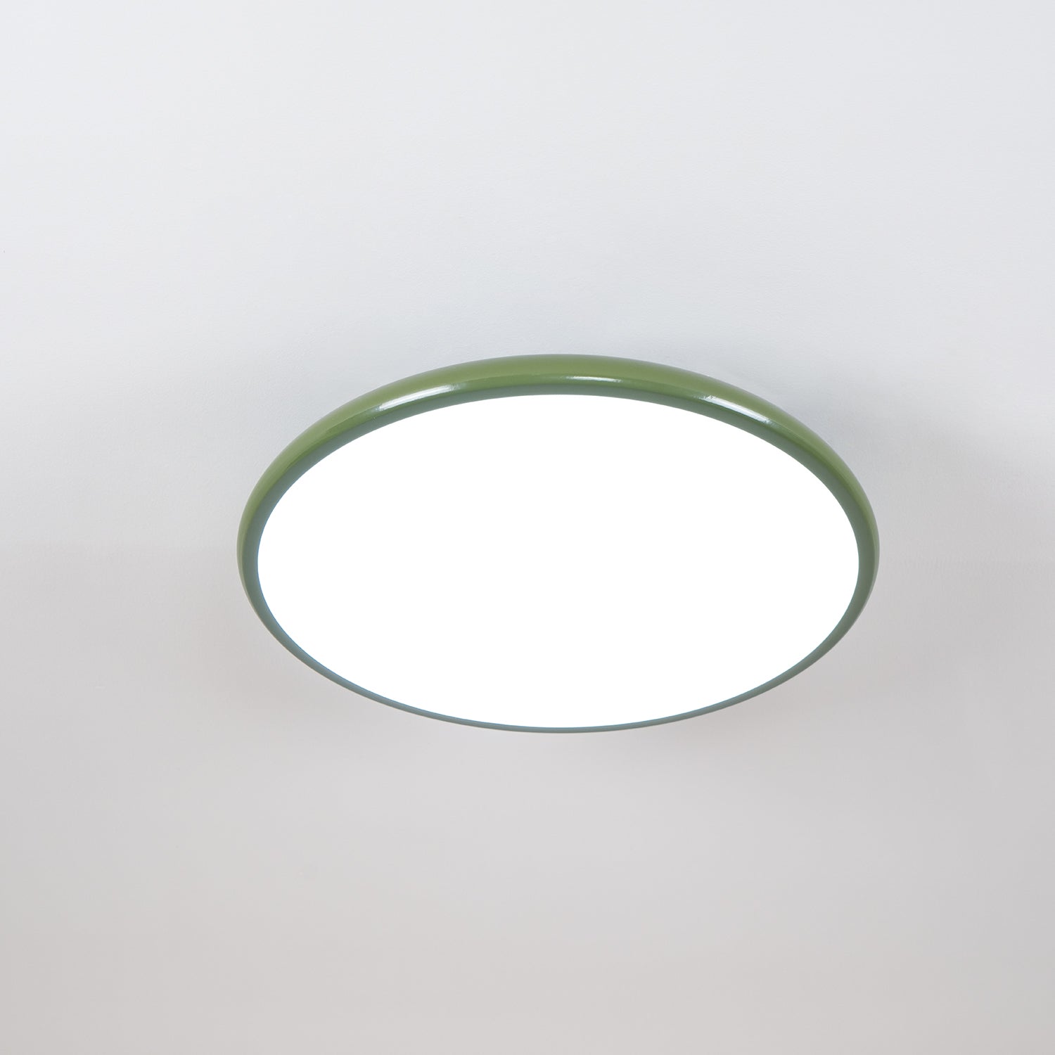 Rioas Adjustable Ceiling Light