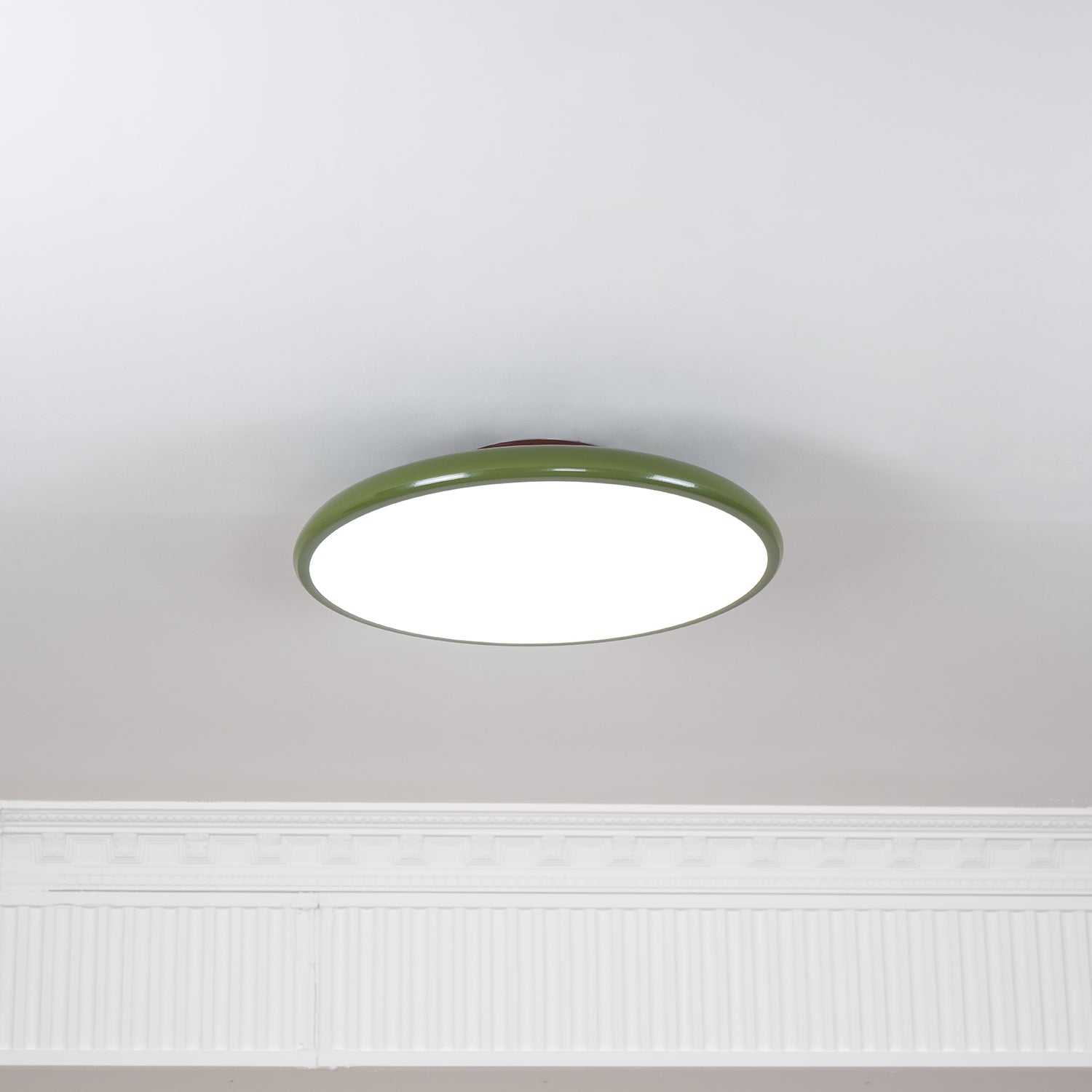 Rioas Adjustable Ceiling Light