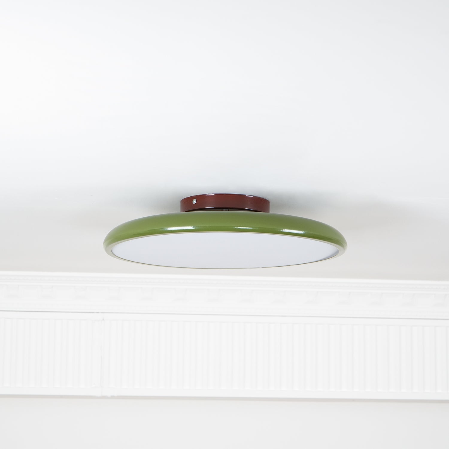 Rioas Adjustable Ceiling Light