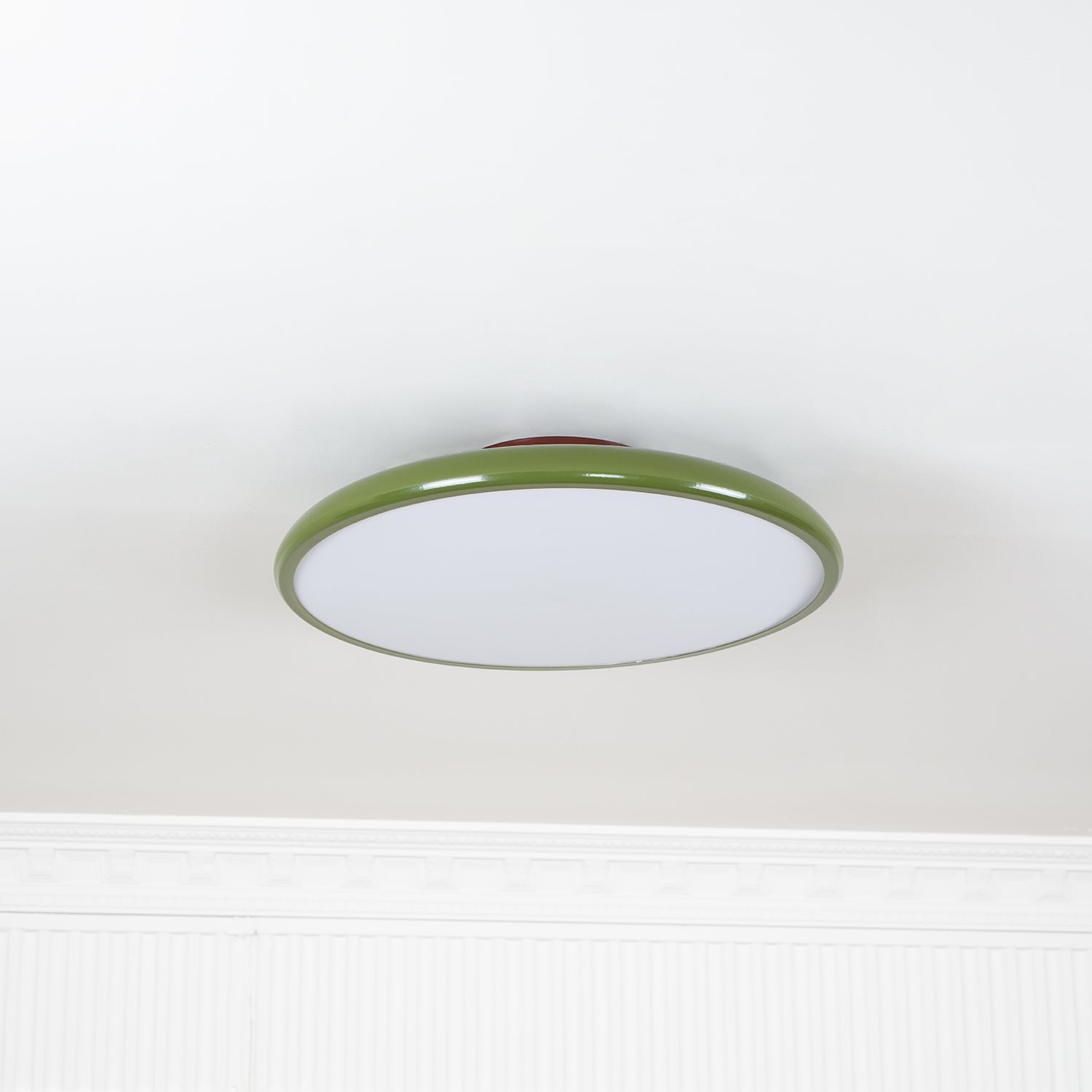 Rioas Adjustable Ceiling Light