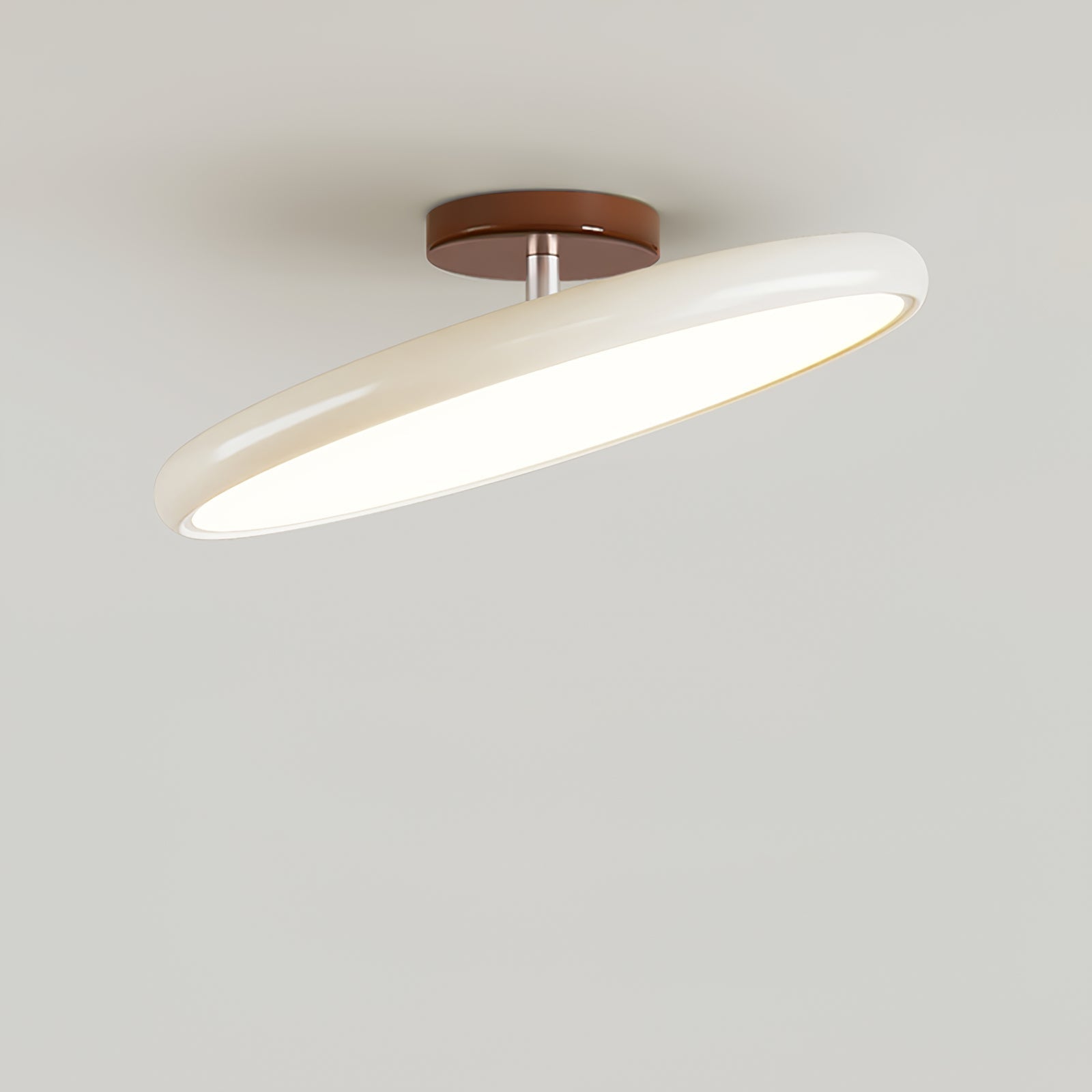 Rioas Adjustable Ceiling Light