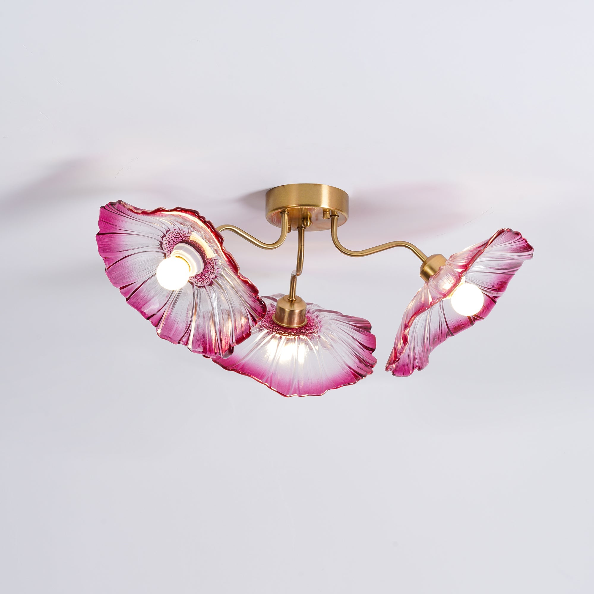 Jorcor Leaf Ceiling Light