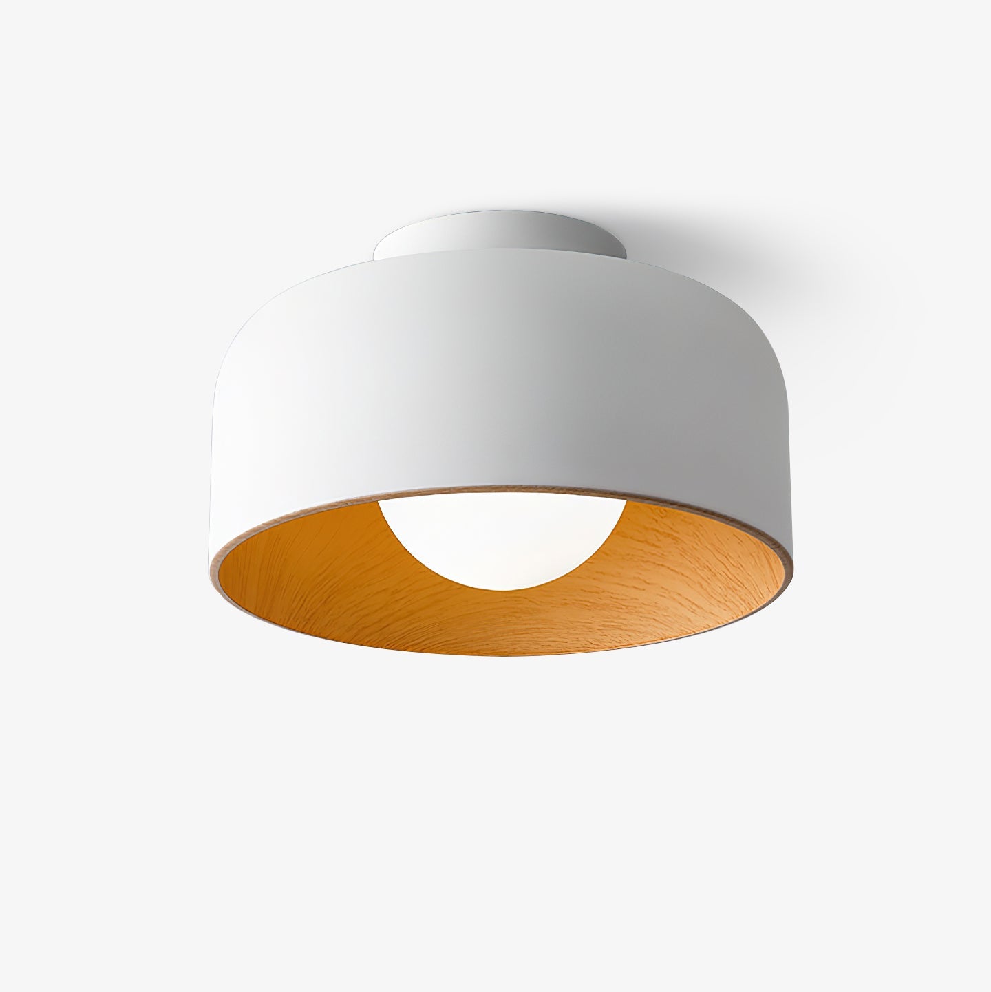 Cayeler Ceiling Light